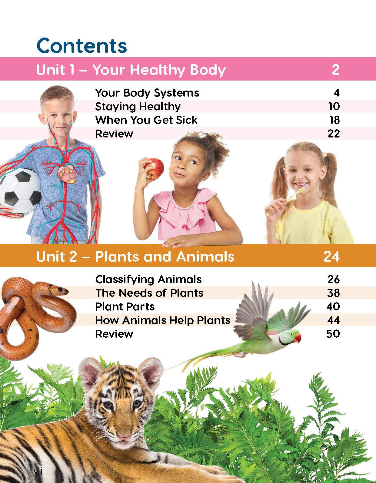 Next Generation Science Textbook – Grade 2, Book A