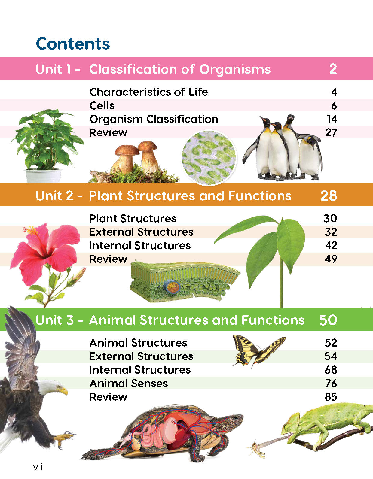Next Generation Science Textbook – Grade 4, Book A