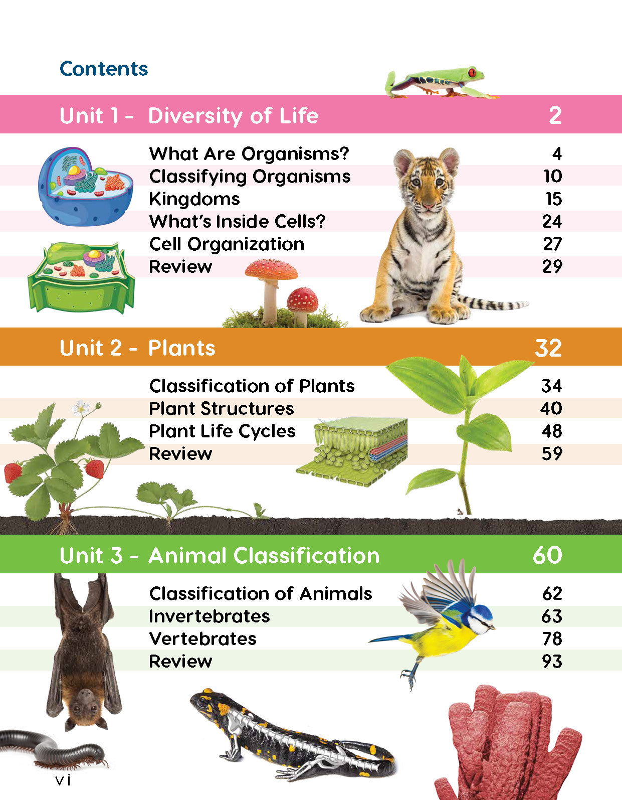 Next Generation Science Textbook – Grade 5, Book A