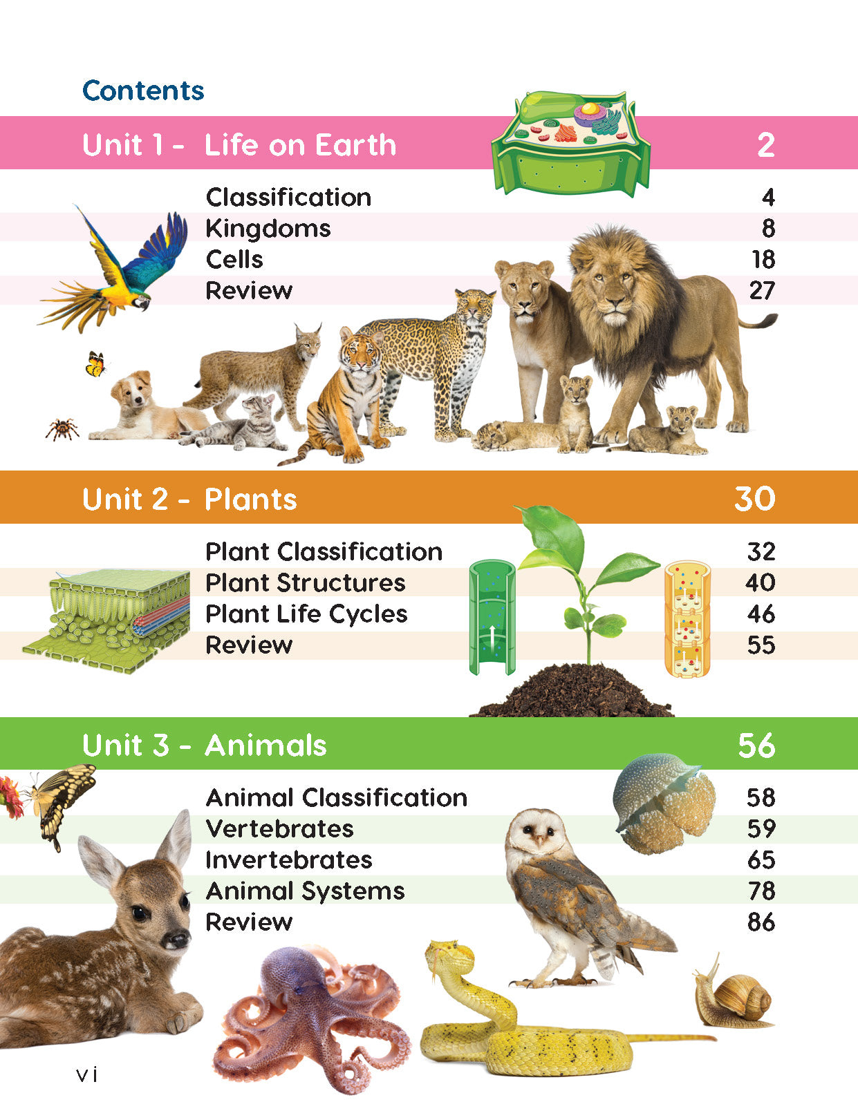 Next Generation Science Textbook – Grade 6, Book A
