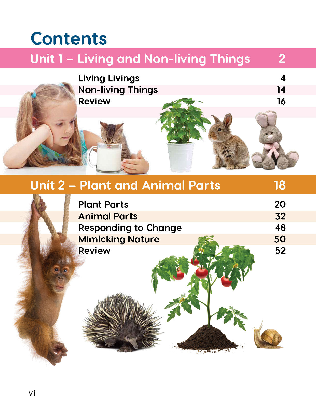 Next Generation Science Textbook – Grade 1, Book A