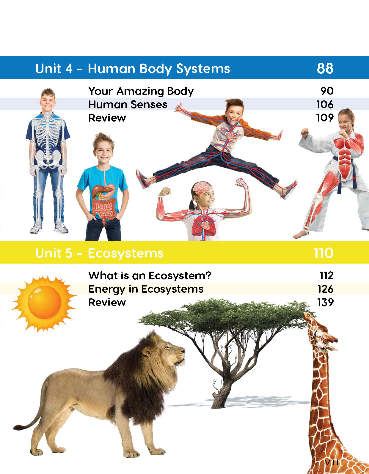 Next Generation Science Textbook – Grade 4, Book A
