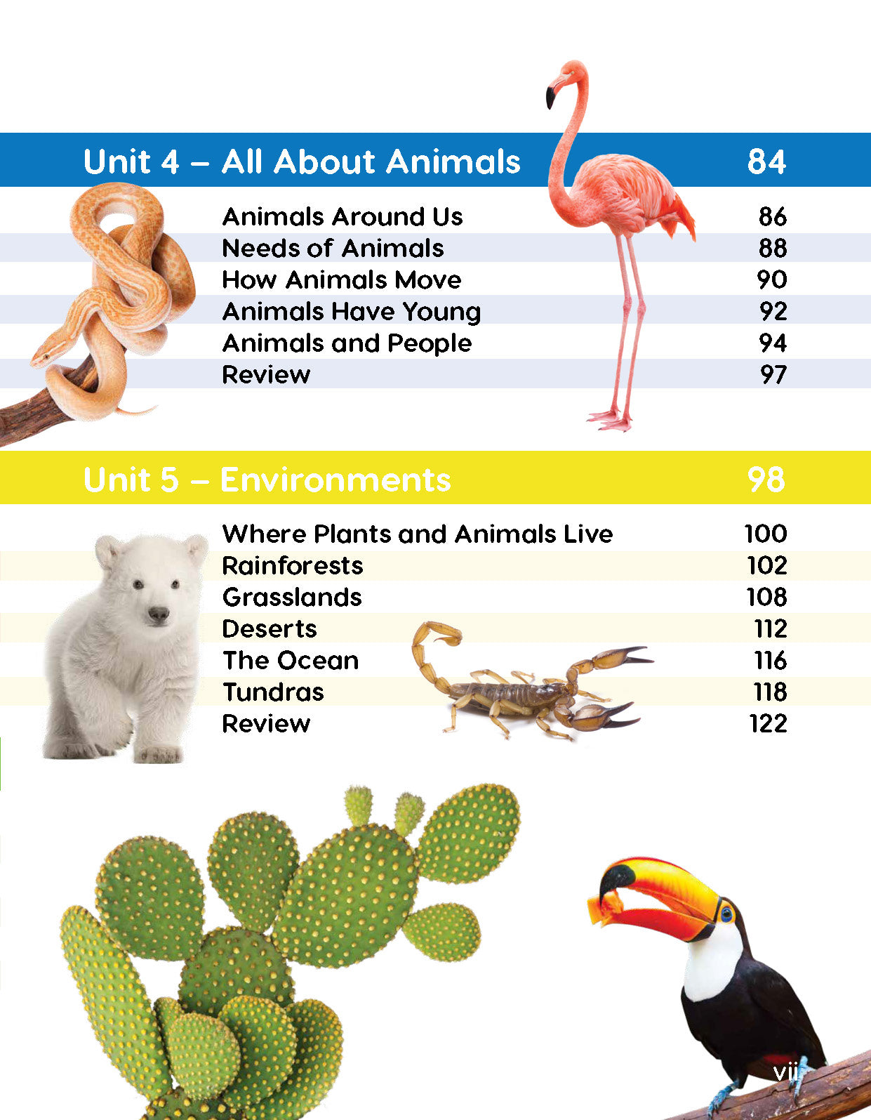 Next Generation Science Textbook – Grade K, Book A