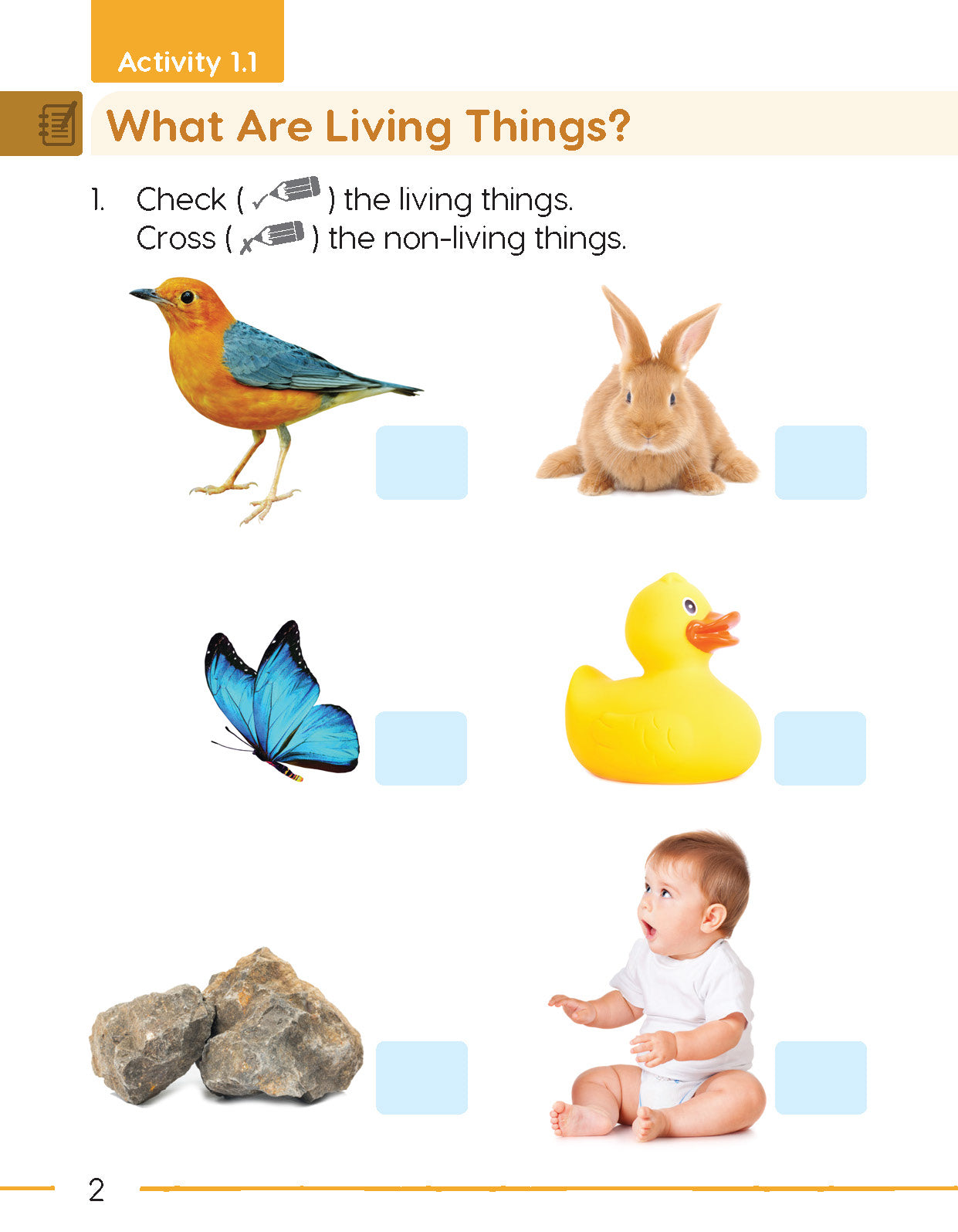 Next Generation Science Activity Book – Grade 1, Book A