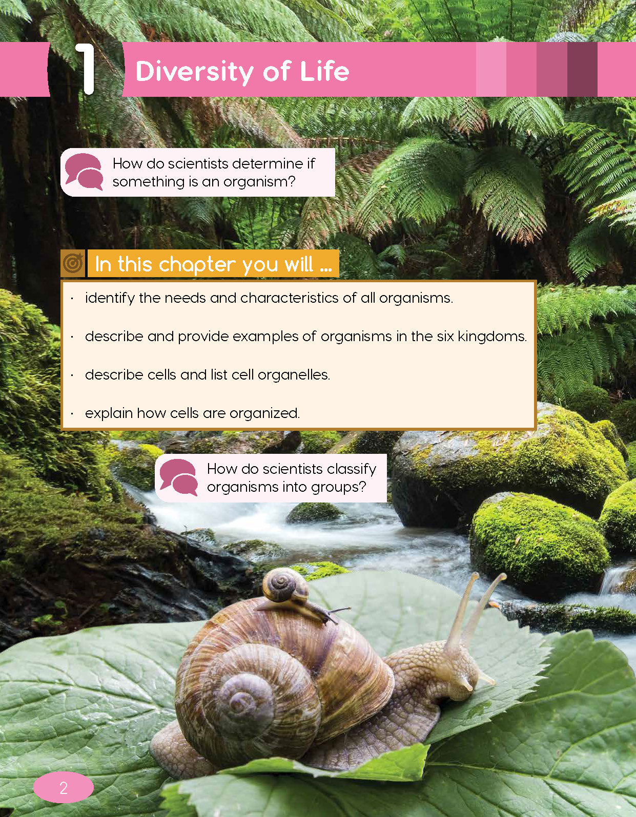 Next Generation Science Textbook – Grade 5, Book A