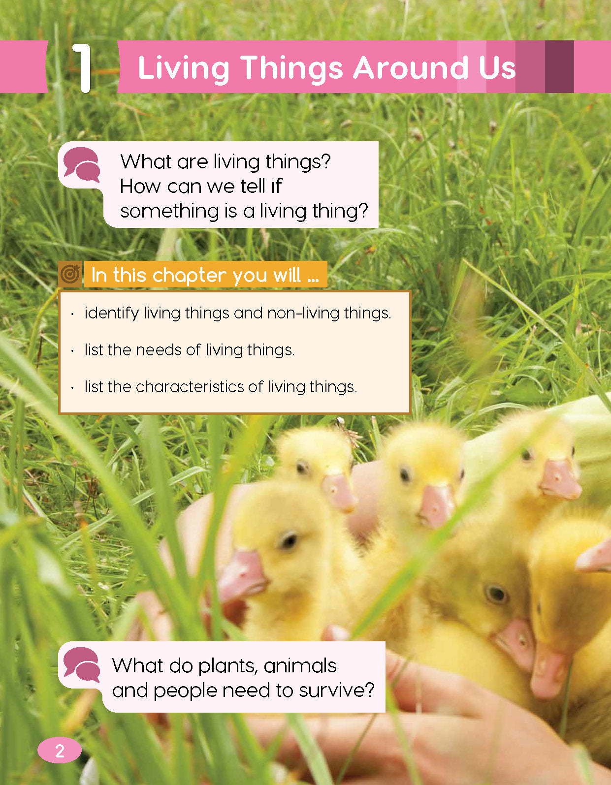 Next Generation Science Textbook – Grade K, Book A