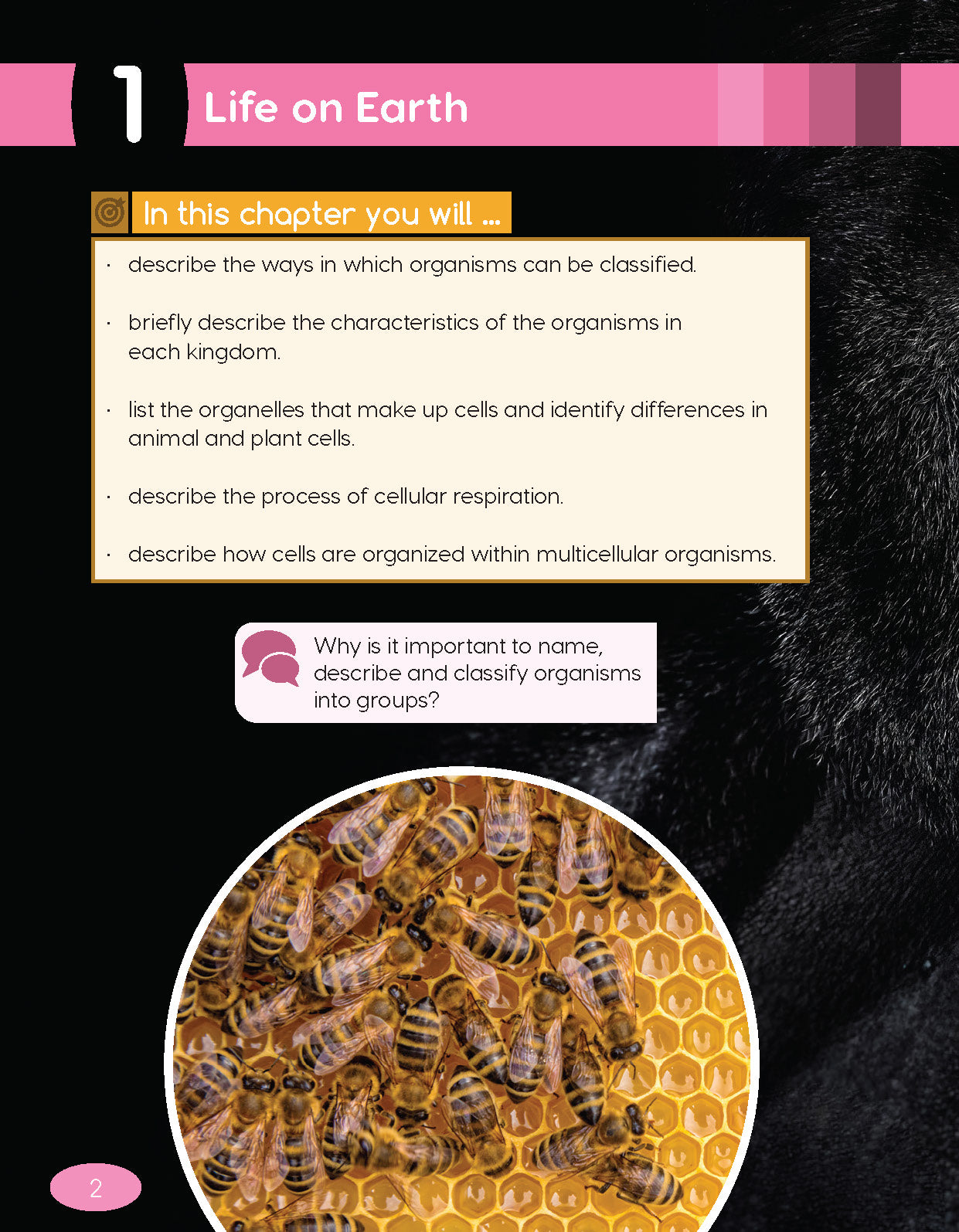 Next Generation Science Textbook – Grade 6, Book A