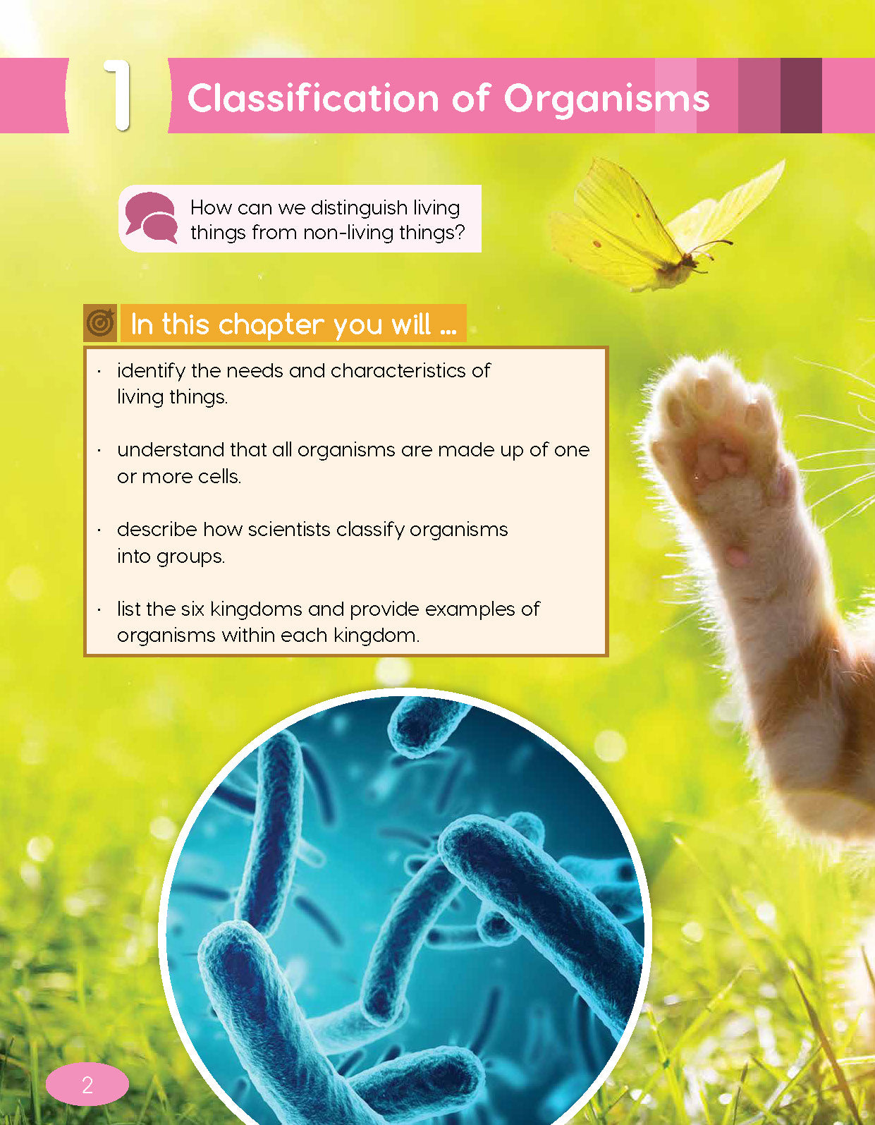 Next Generation Science Textbook – Grade 4, Book A