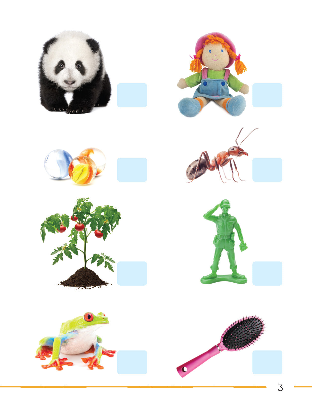 Next Generation Science Activity Book – Grade 1, Book A