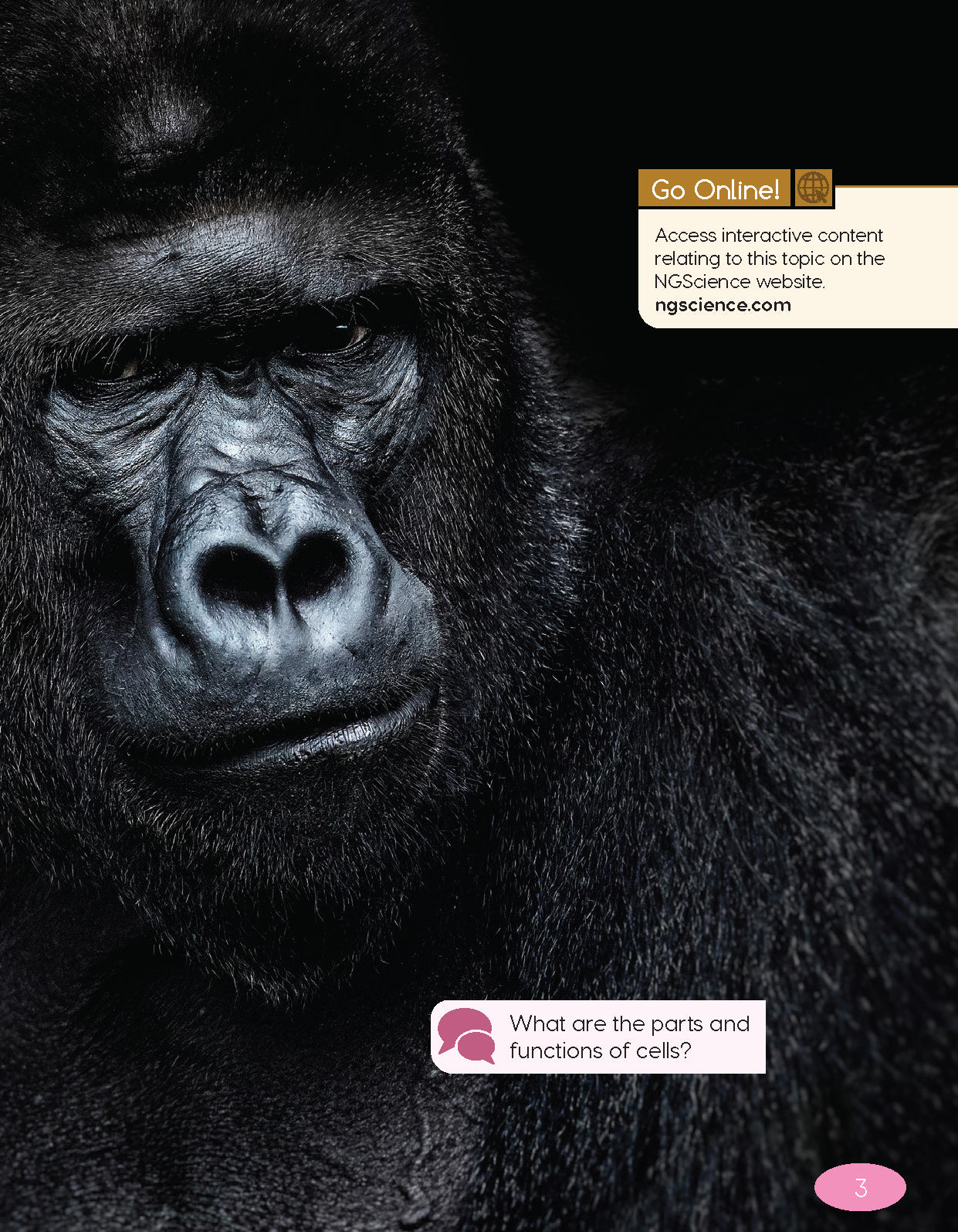 Next Generation Science Textbook – Grade 6, Book A