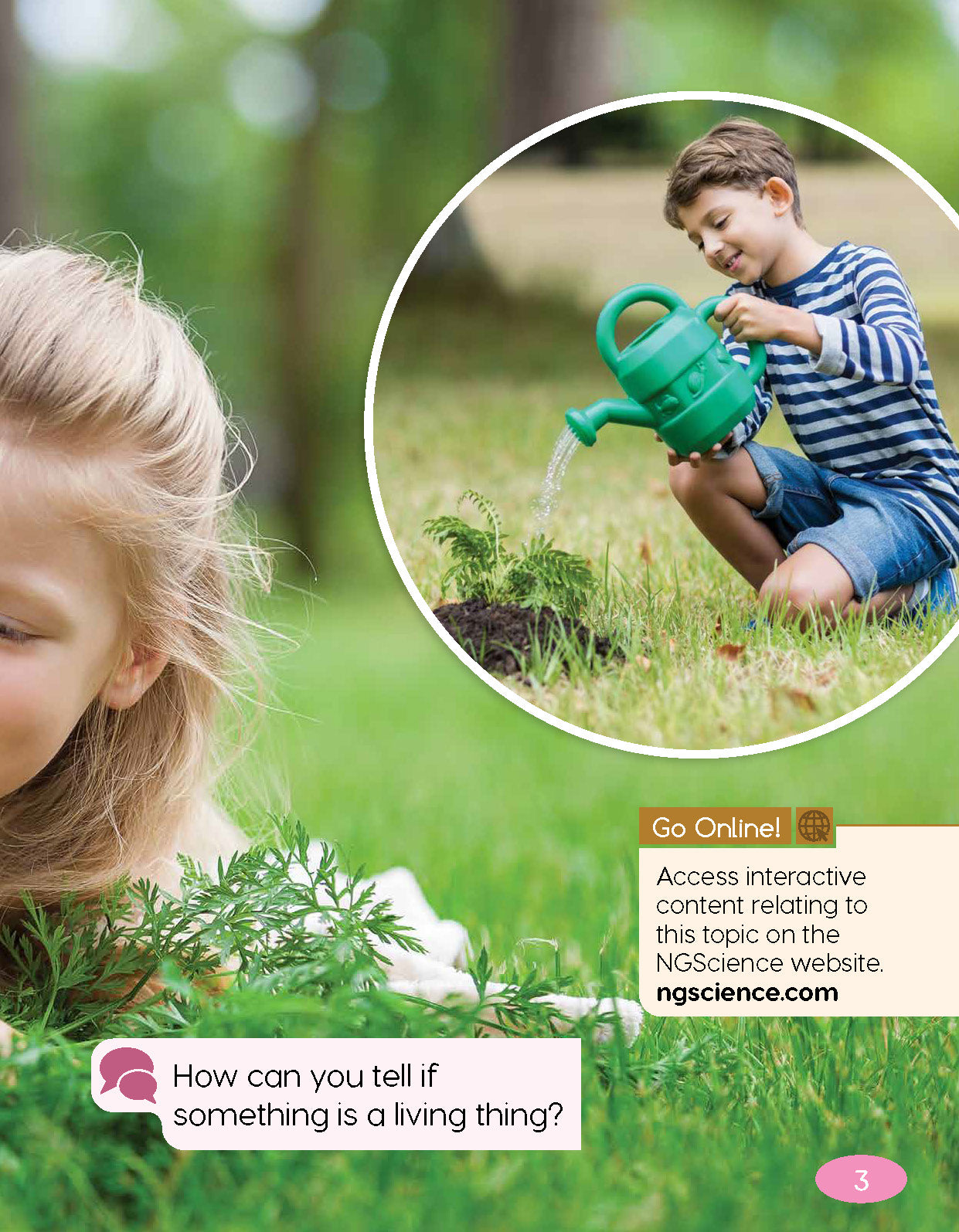Next Generation Science Textbook – Grade 1, Book A
