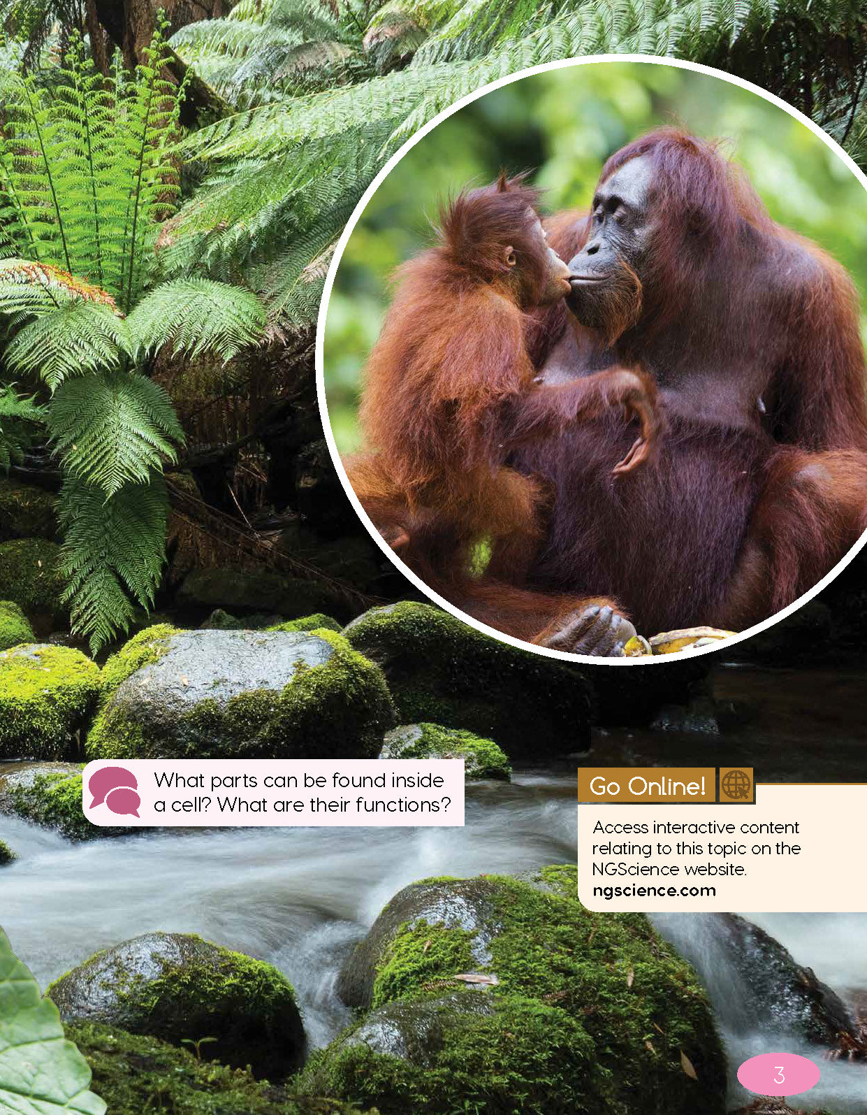 Next Generation Science Textbook – Grade 5, Book A