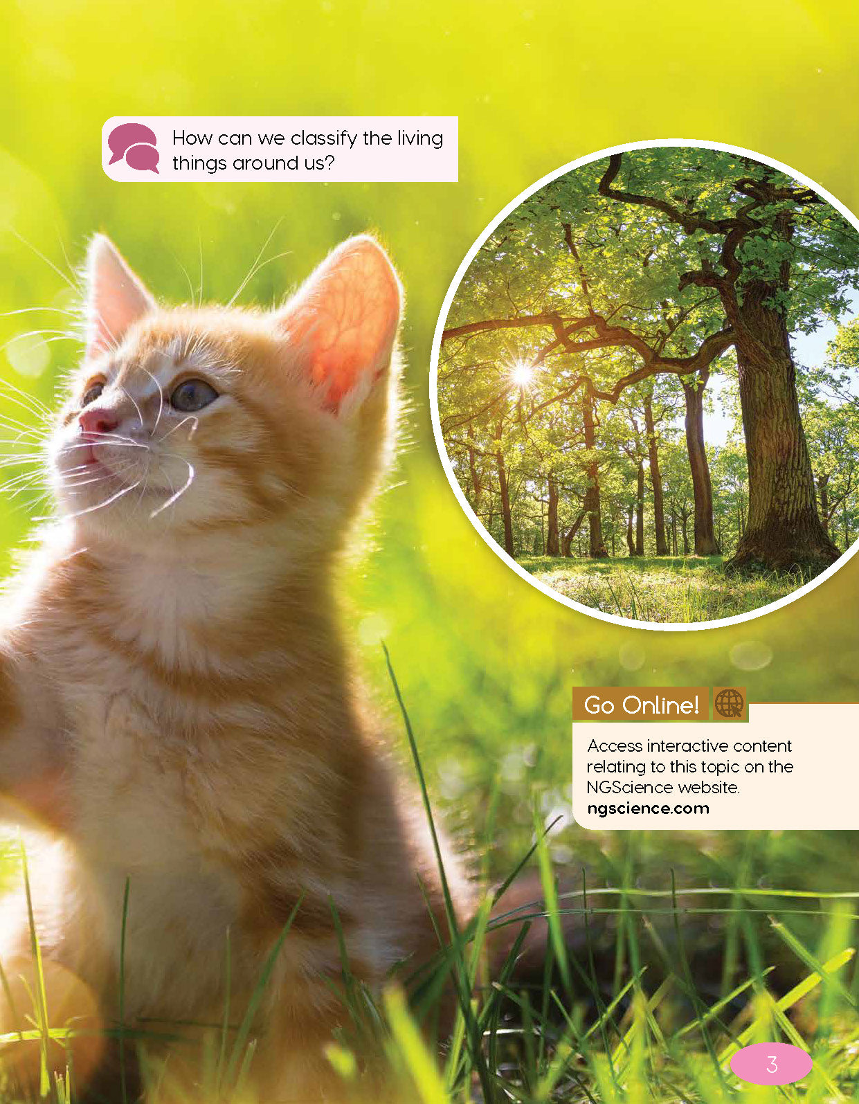 Next Generation Science Textbook – Grade 4, Book A