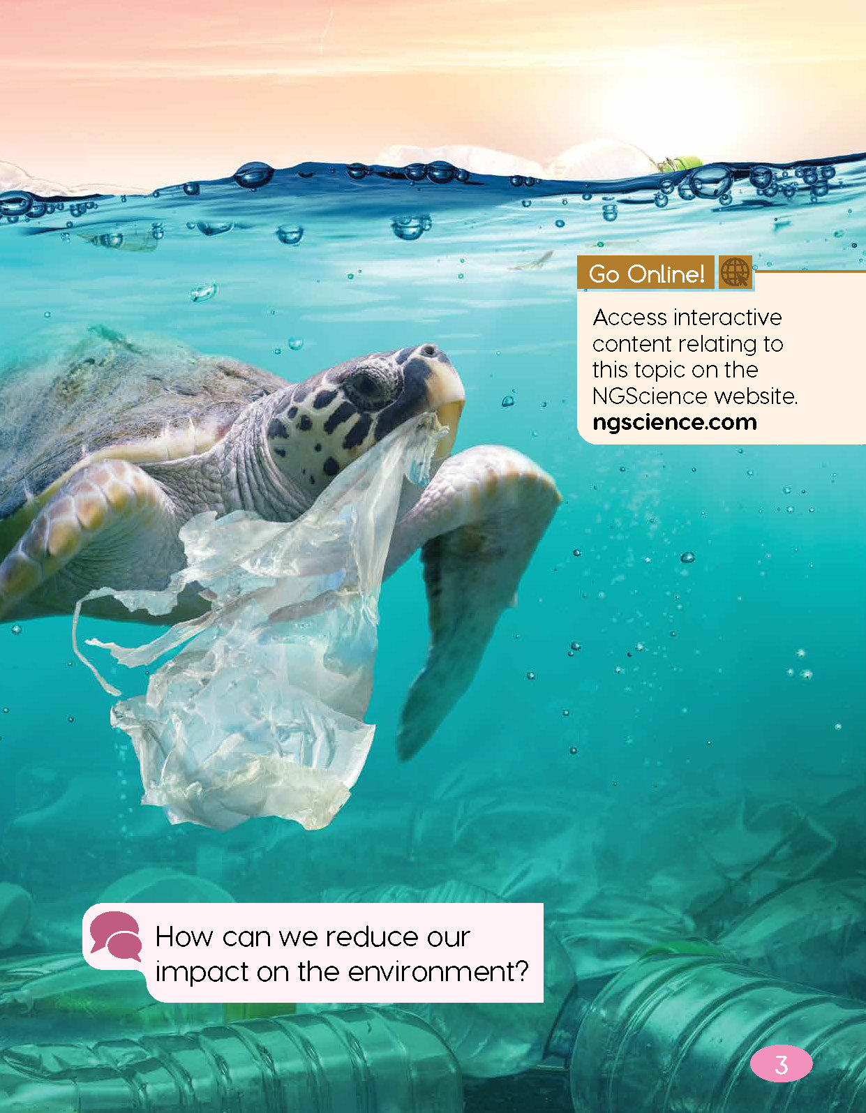Next Generation Science Textbook – Grade K, Book B