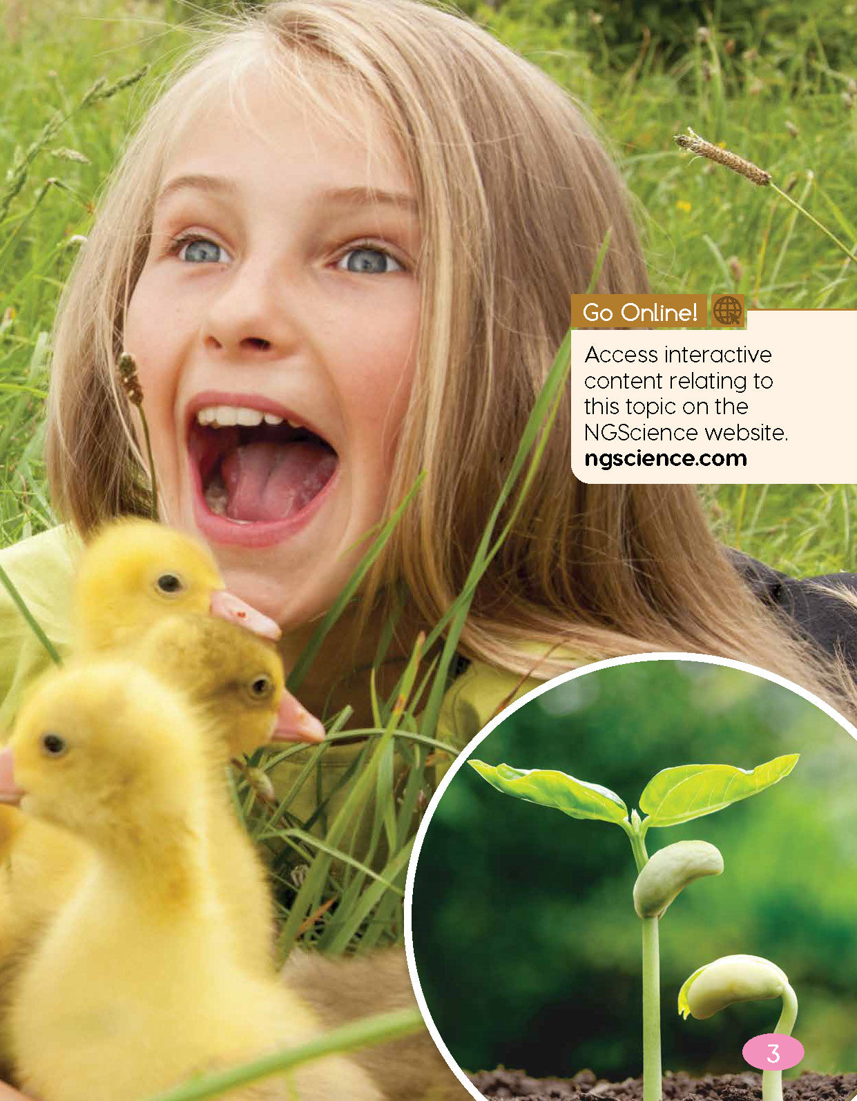 Next Generation Science Textbook – Grade K, Book A