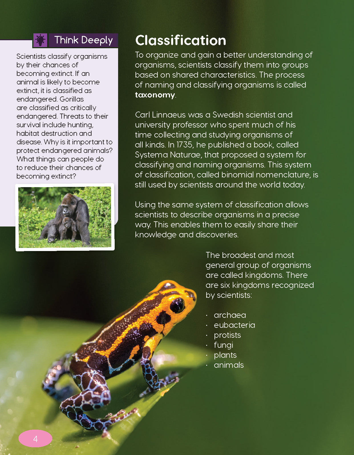 Next Generation Science Textbook – Grade 6, Book A