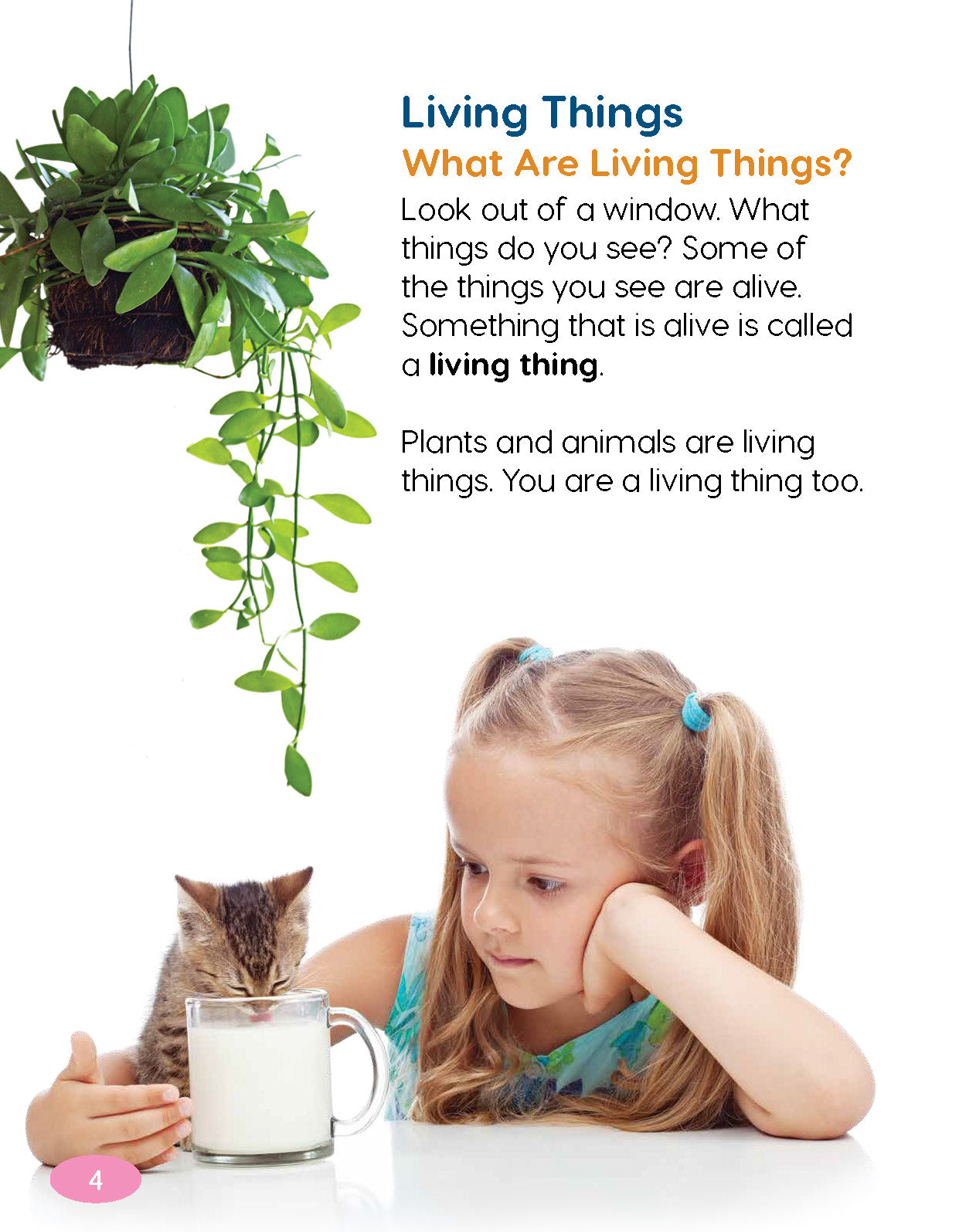 Next Generation Science Textbook – Grade 1, Book A