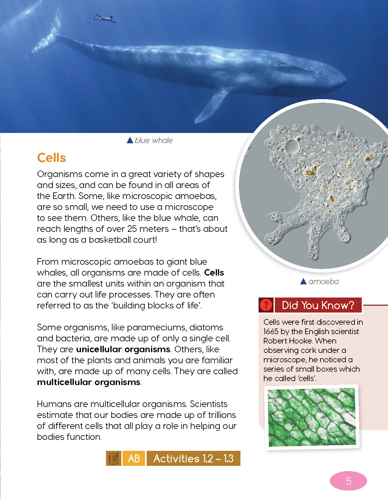 Next Generation Science Textbook – Grade 5, Book A