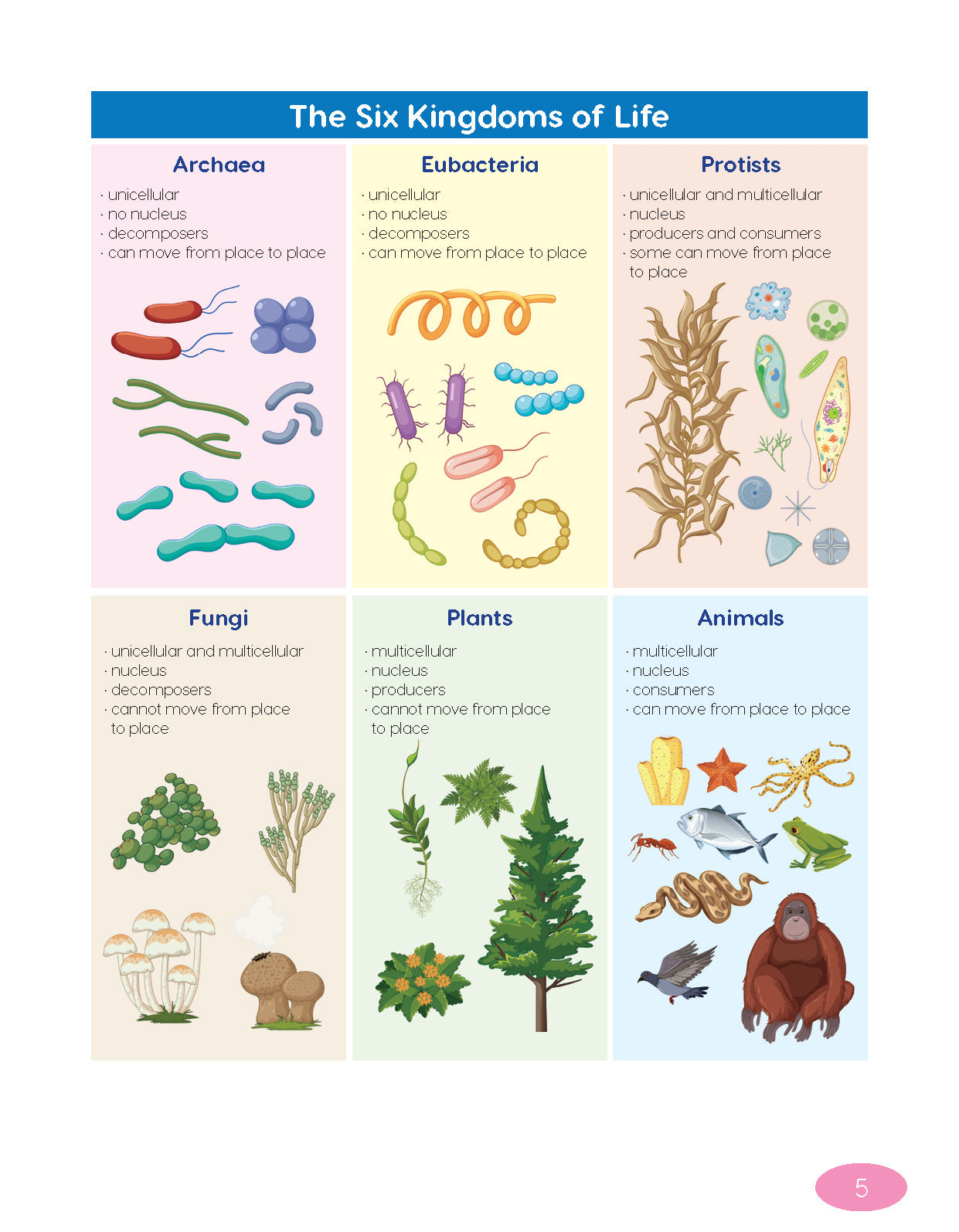 Next Generation Science Textbook – Grade 6, Book A