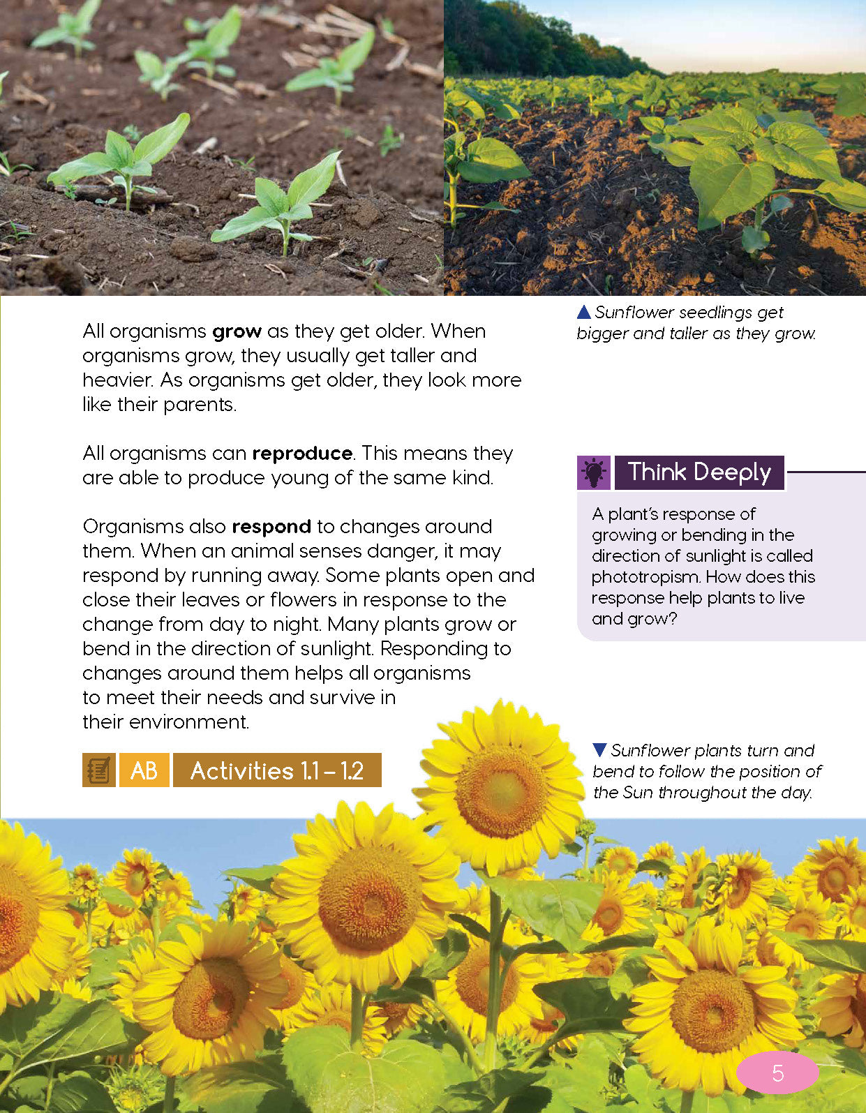 Next Generation Science Textbook – Grade 4, Book A