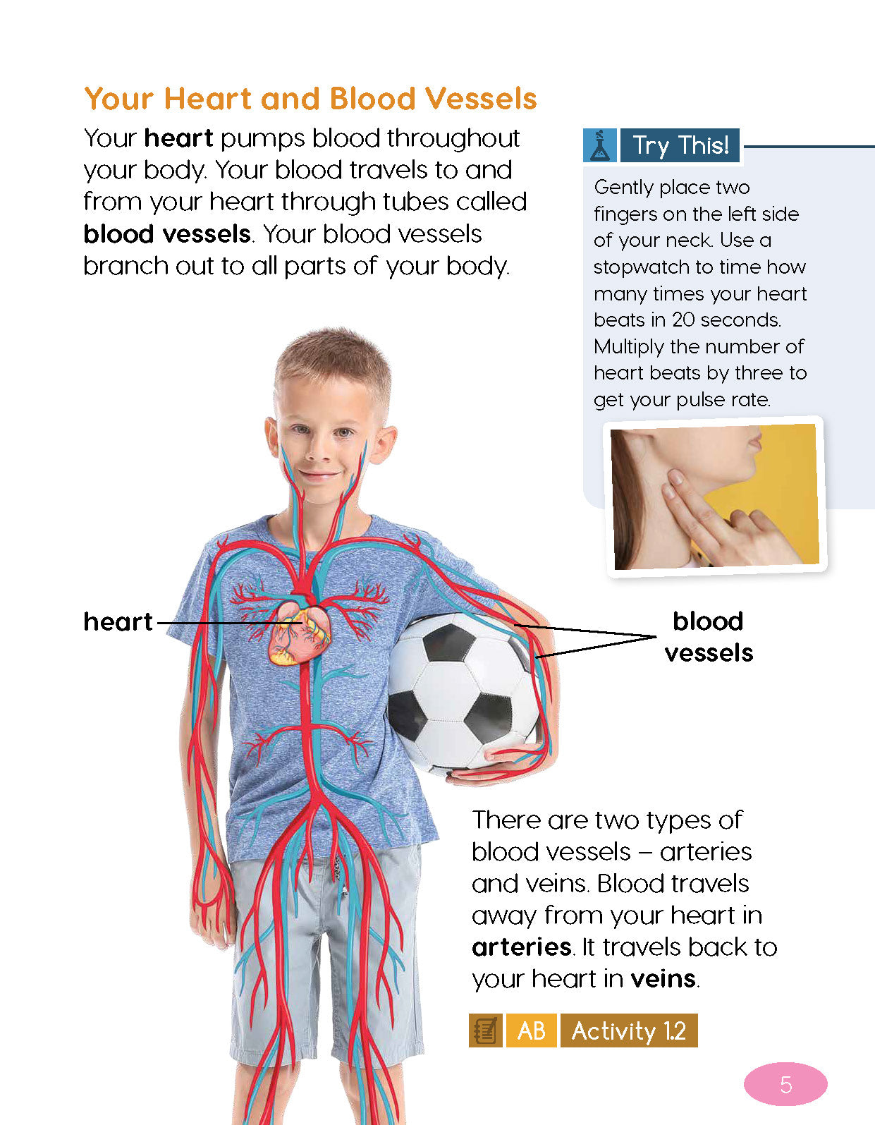 Next Generation Science Textbook – Grade 2, Book A