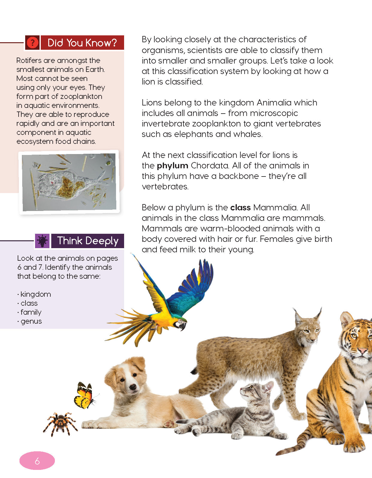Next Generation Science Textbook – Grade 6, Book A
