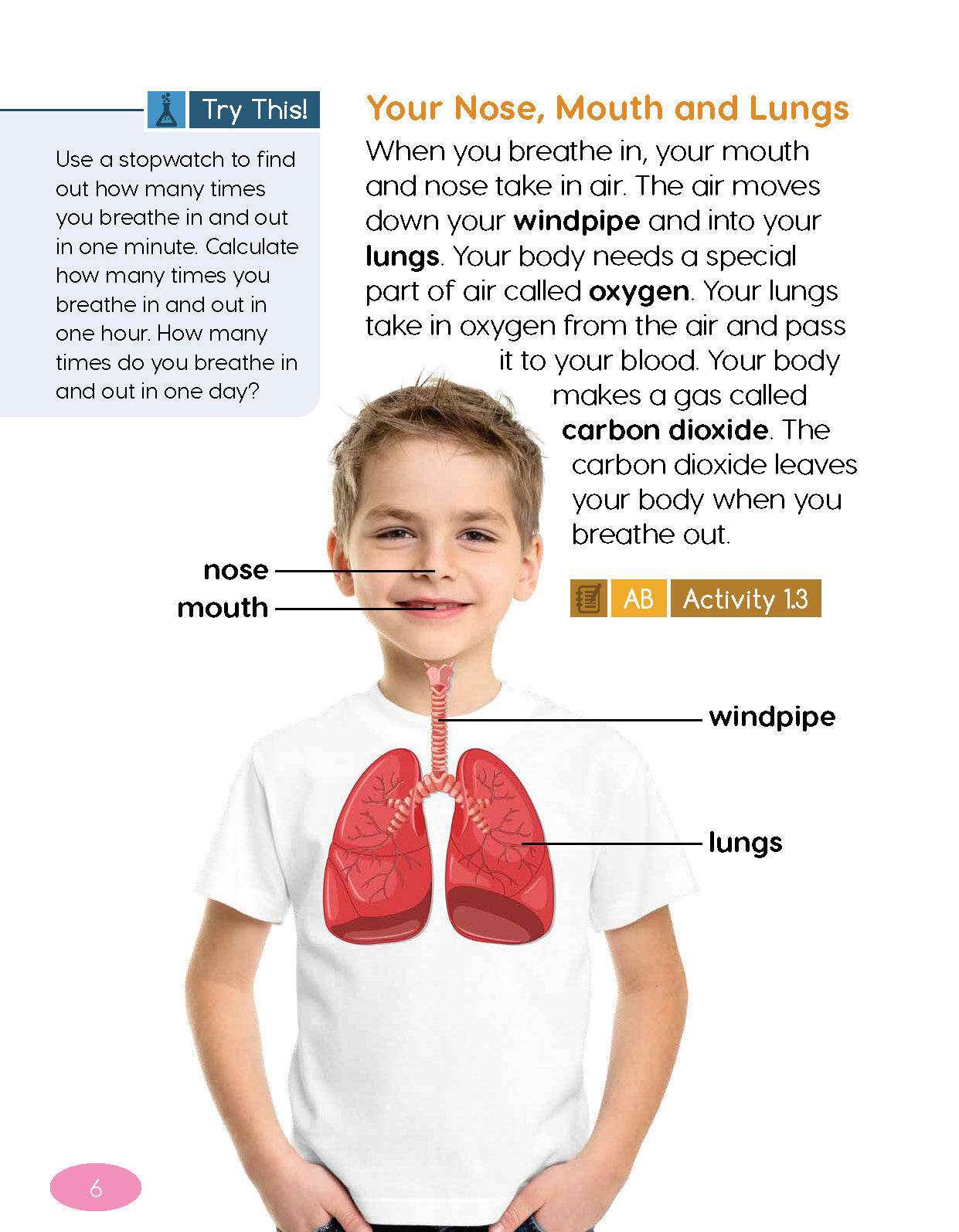 Next Generation Science Textbook – Grade 2, Book A