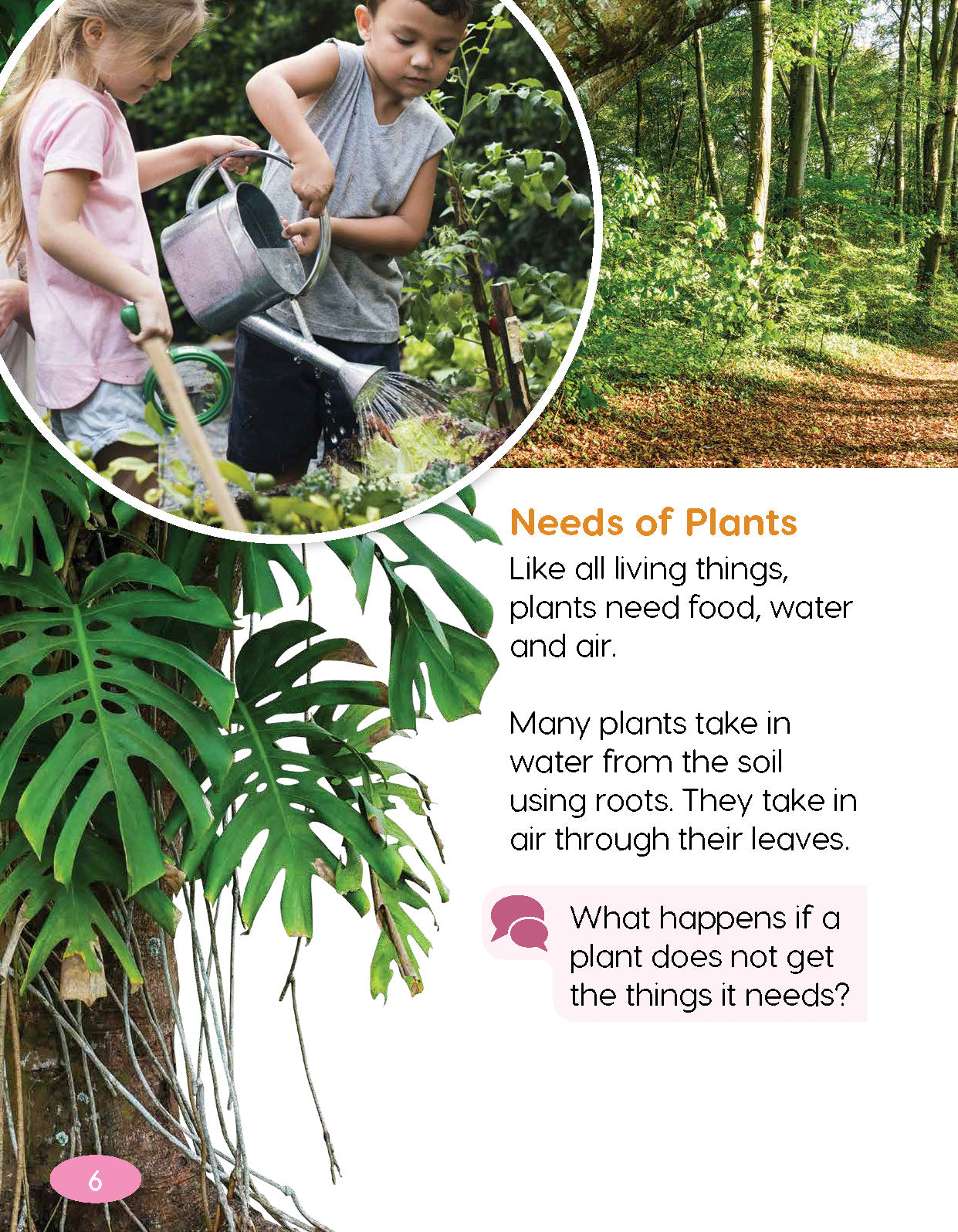 Next Generation Science Textbook – Grade 1, Book A