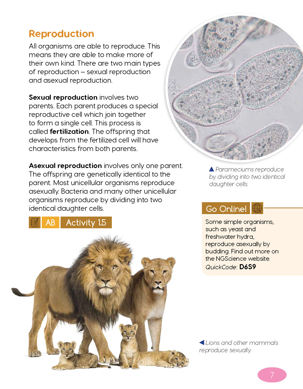 Next Generation Science Textbook – Grade 5, Book A