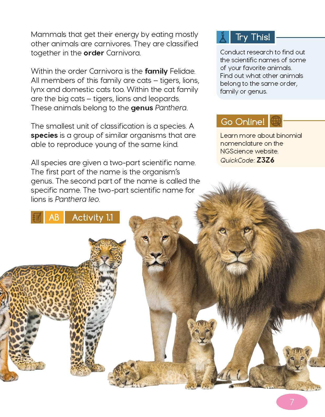 Next Generation Science Textbook – Grade 6, Book A