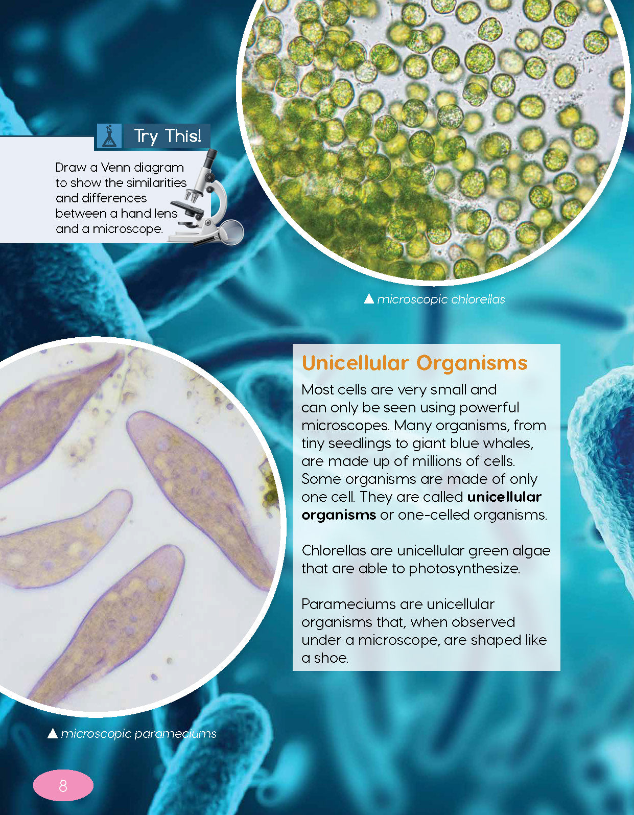 Next Generation Science Textbook – Grade 4, Book A