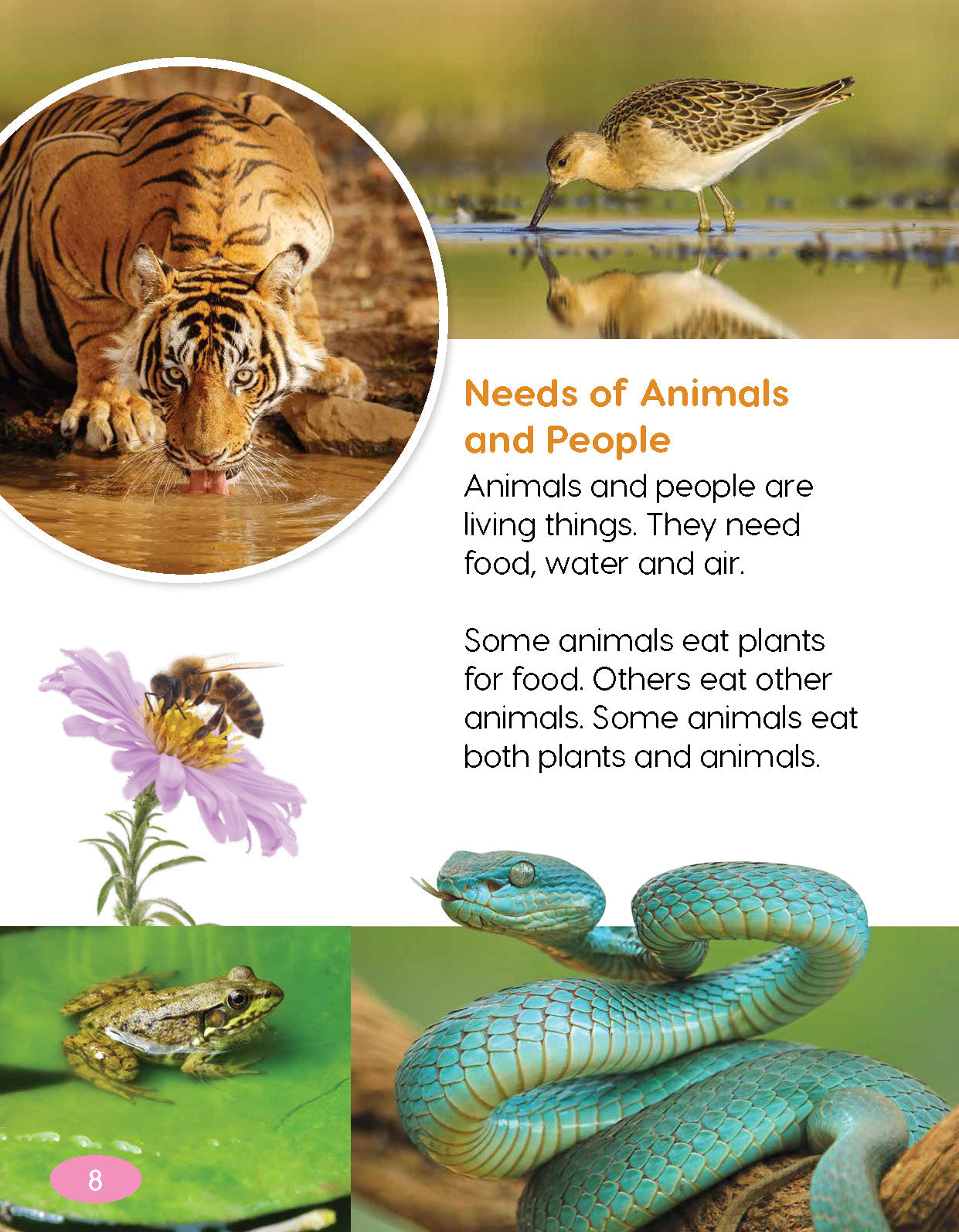 Next Generation Science Textbook – Grade 1, Book A