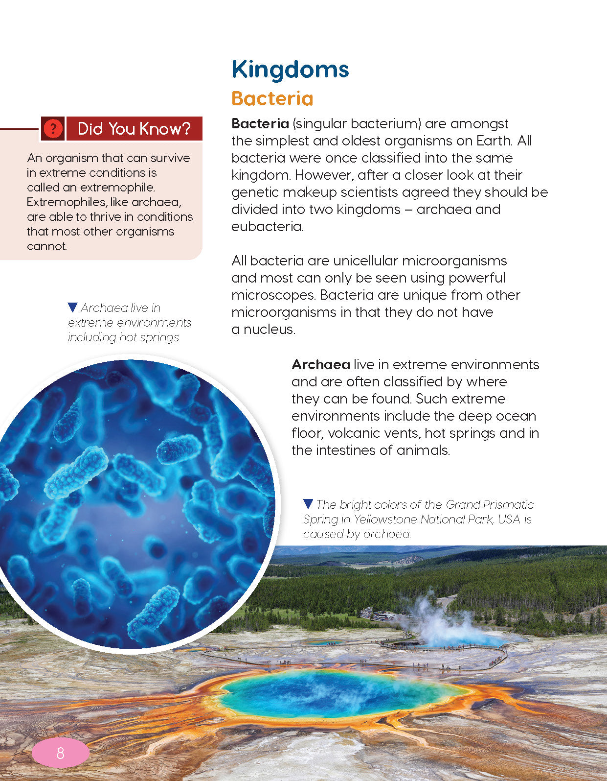 Next Generation Science Textbook – Grade 6, Book A