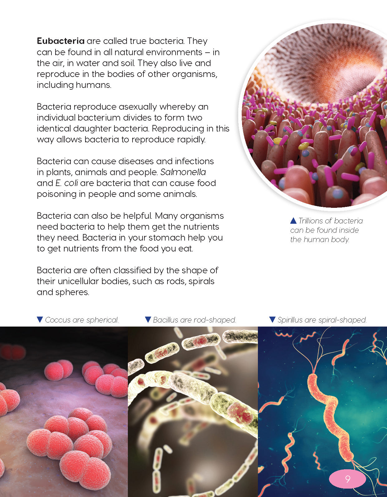 Next Generation Science Textbook – Grade 6, Book A