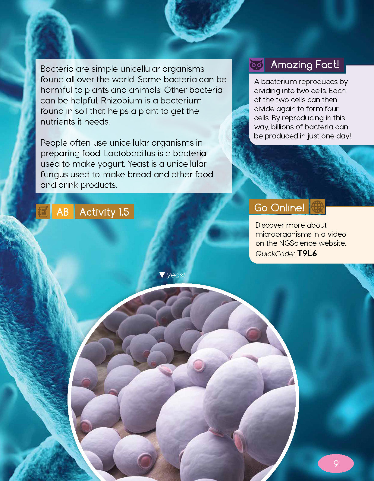 Next Generation Science Textbook – Grade 4, Book A