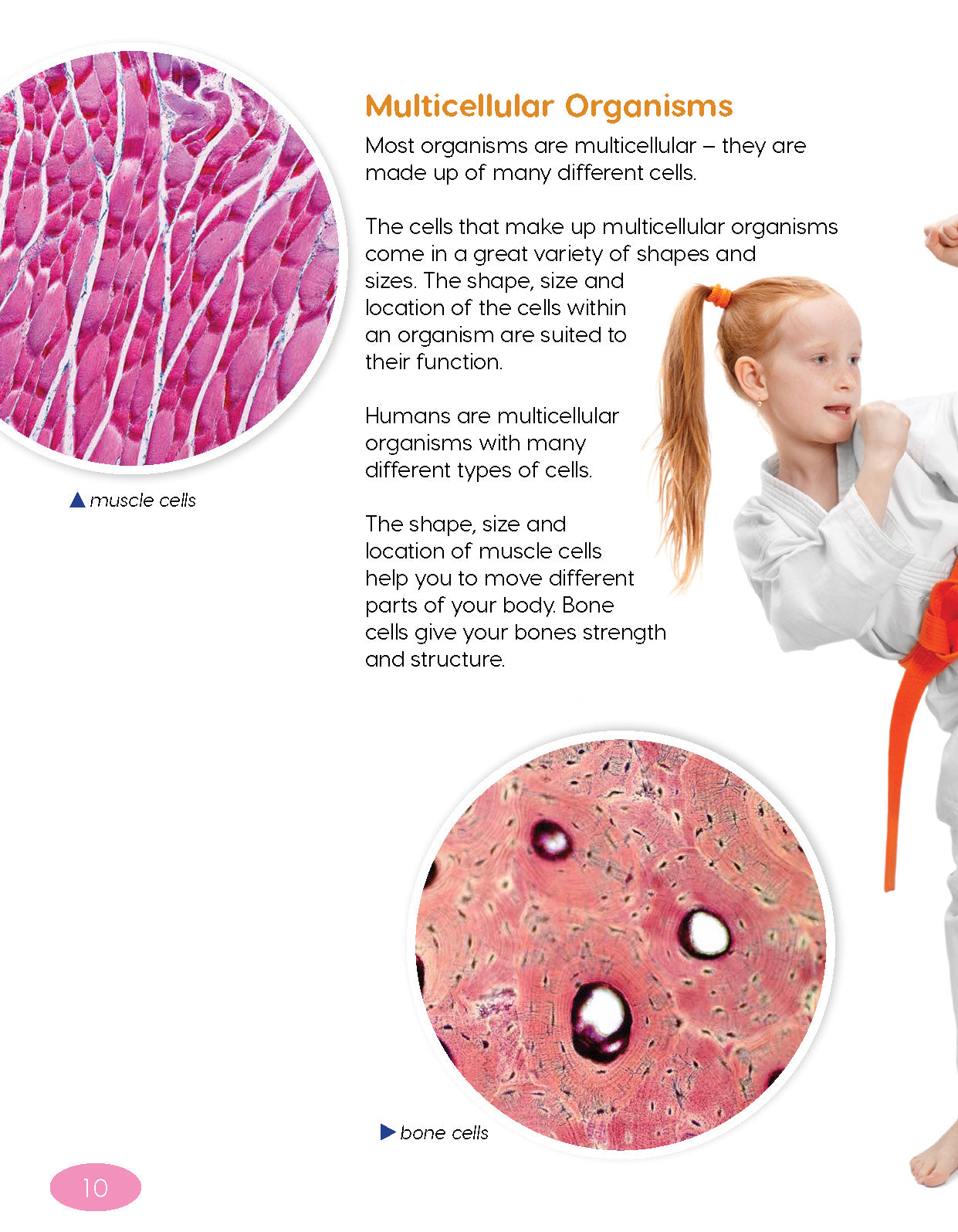 Next Generation Science Textbook – Grade 4, Book A