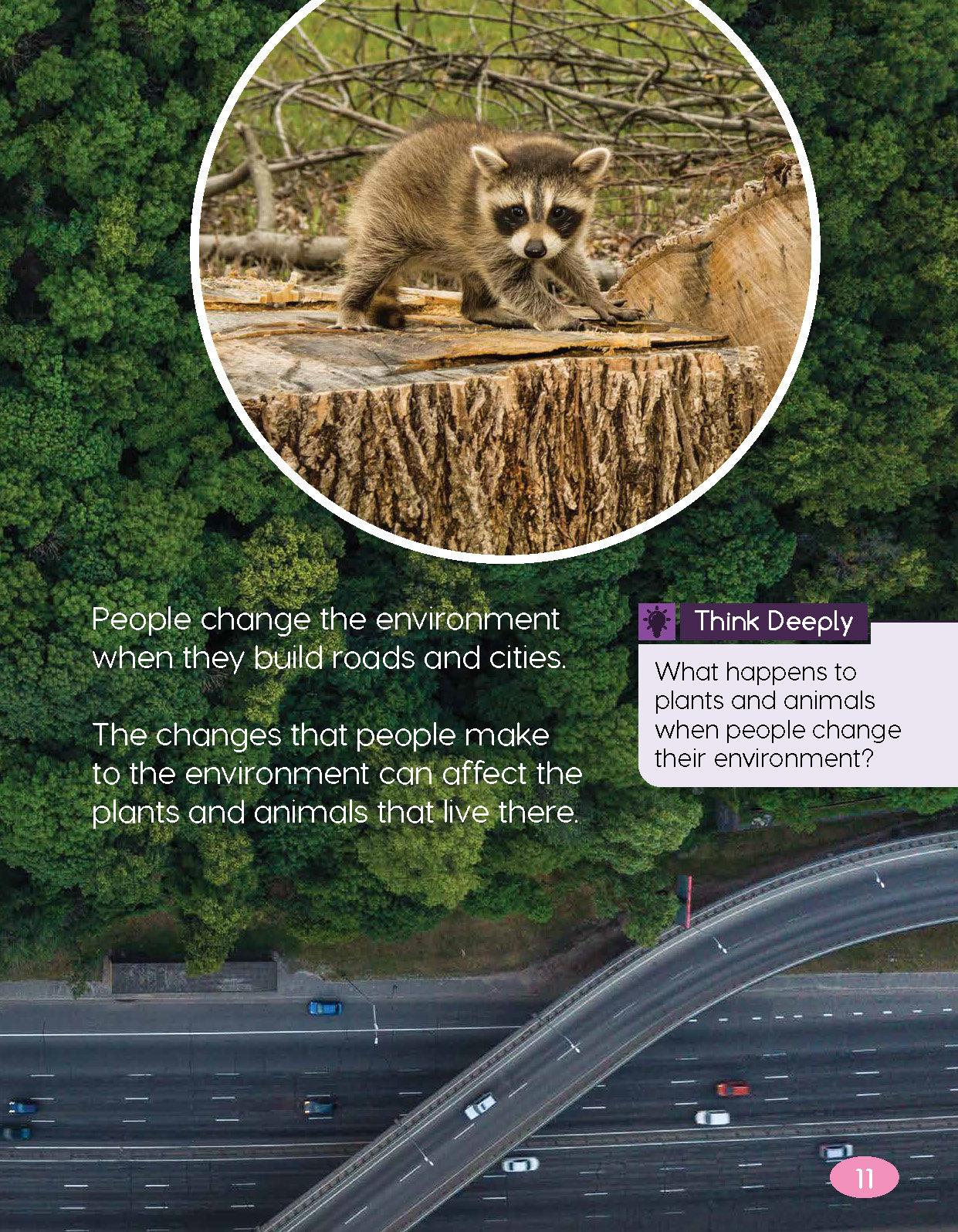 Next Generation Science Textbook – Grade K, Book B