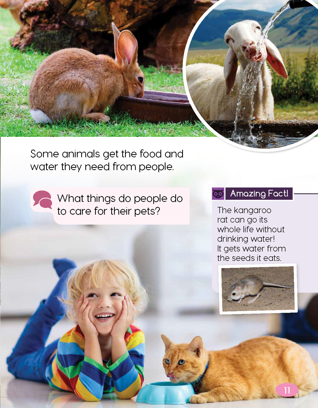 Next Generation Science Textbook – Grade K, Book A