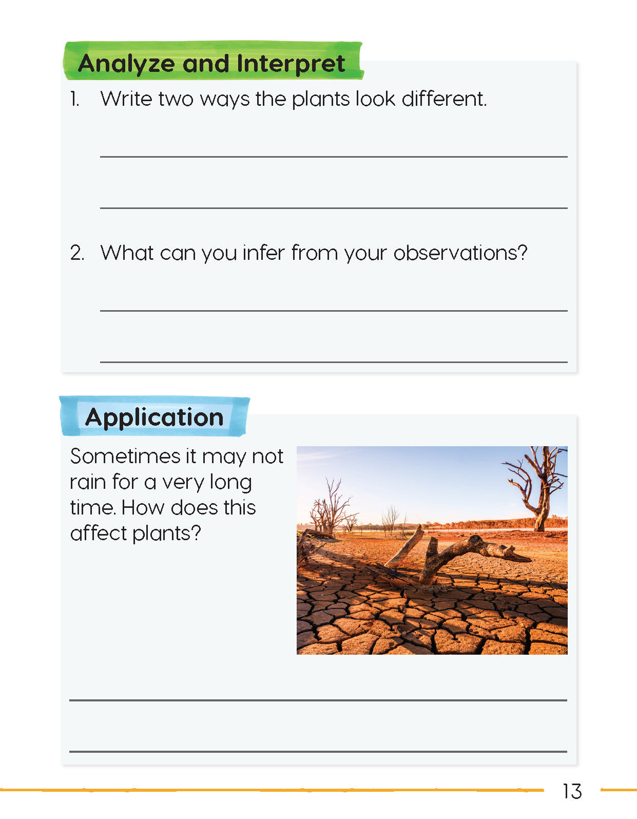 Next Generation Science Activity Book – Grade 1, Book A