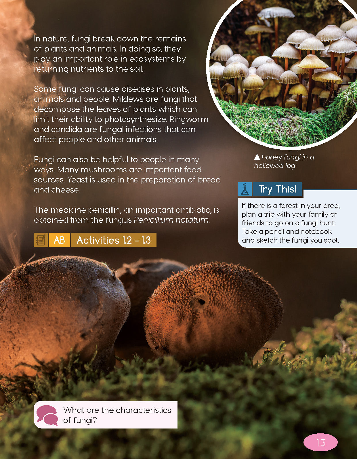 Next Generation Science Textbook – Grade 6, Book A