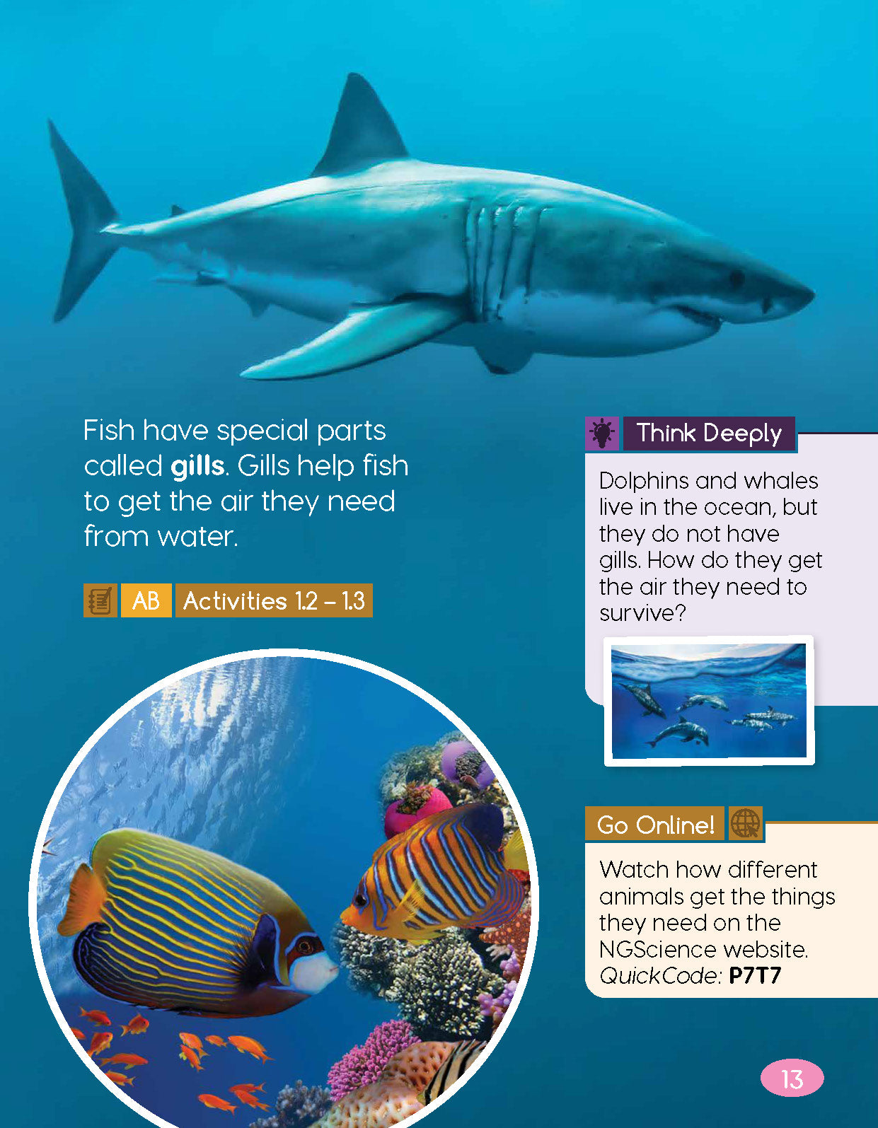 Next Generation Science Textbook – Grade K, Book A