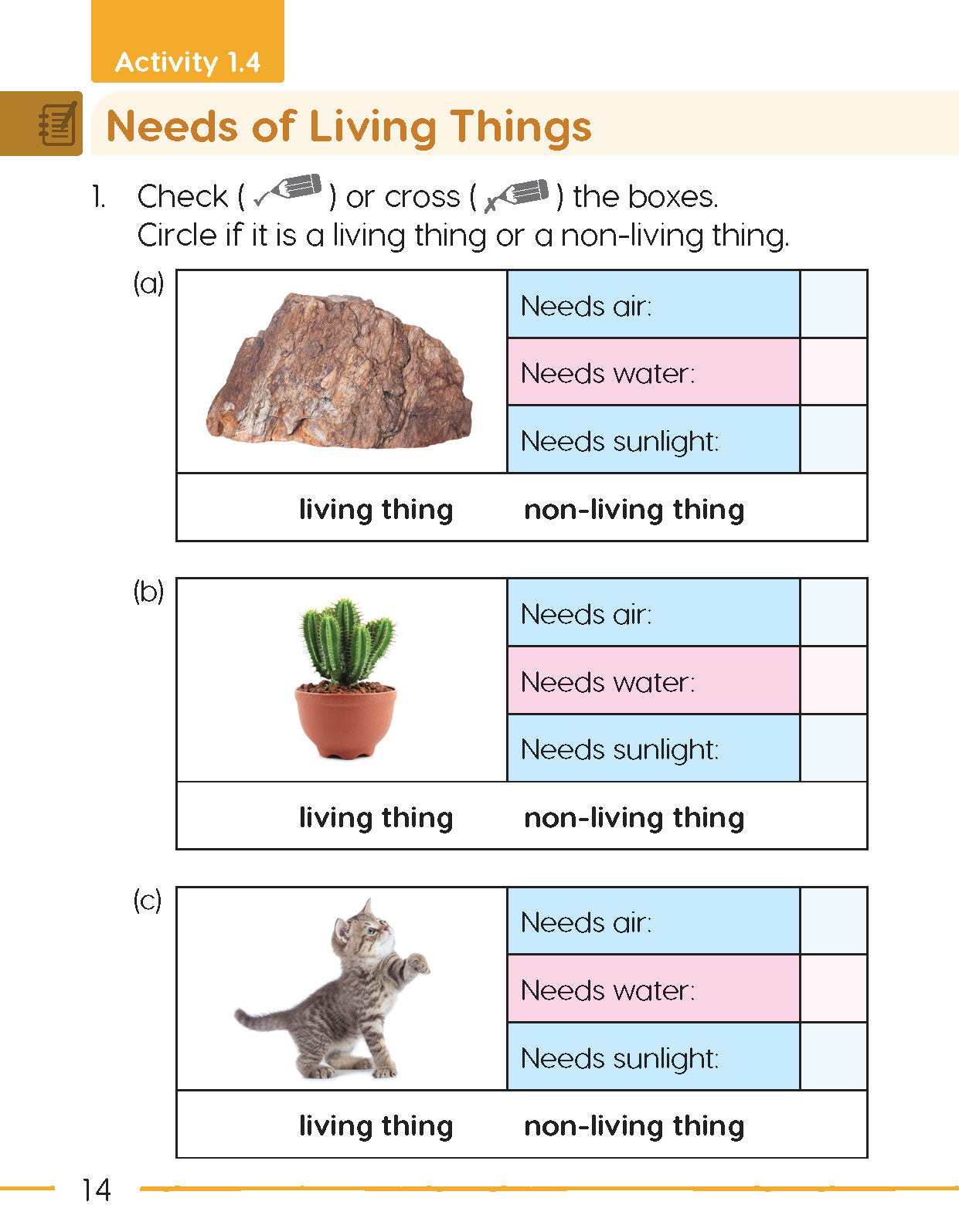 Next Generation Science Activity Book – Grade 1, Book A