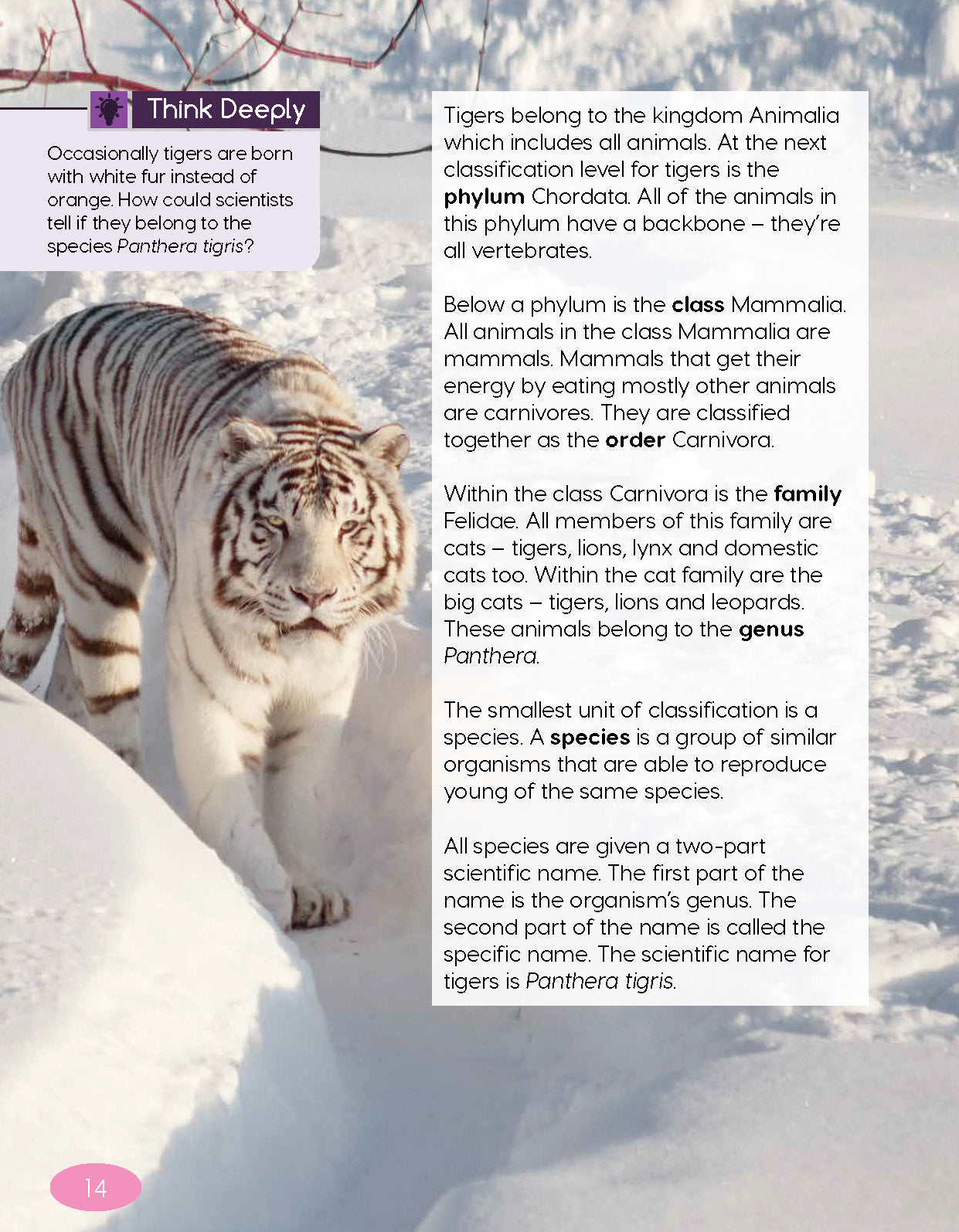 Next Generation Science Textbook – Grade 5, Book A