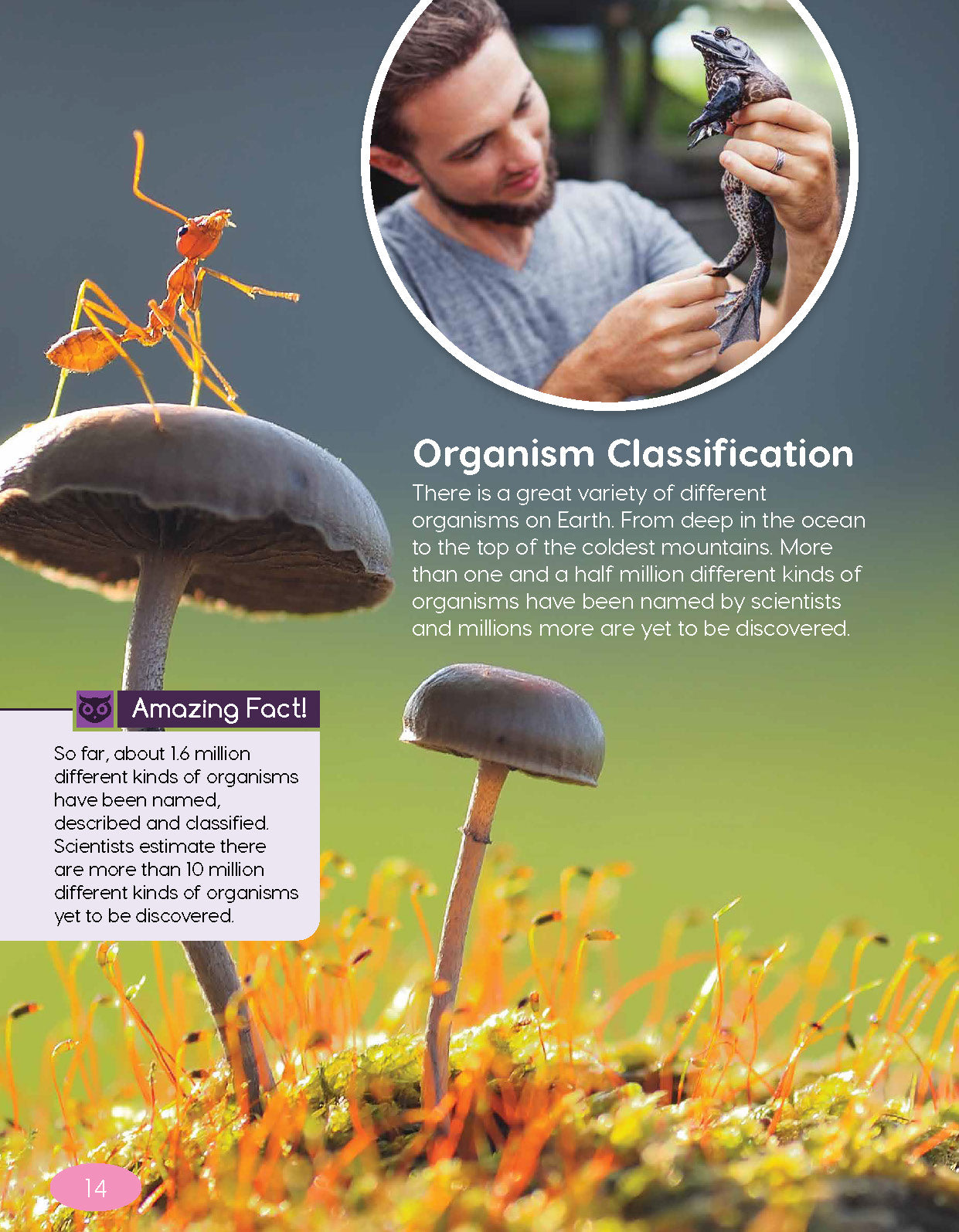 Next Generation Science Textbook – Grade 4, Book A