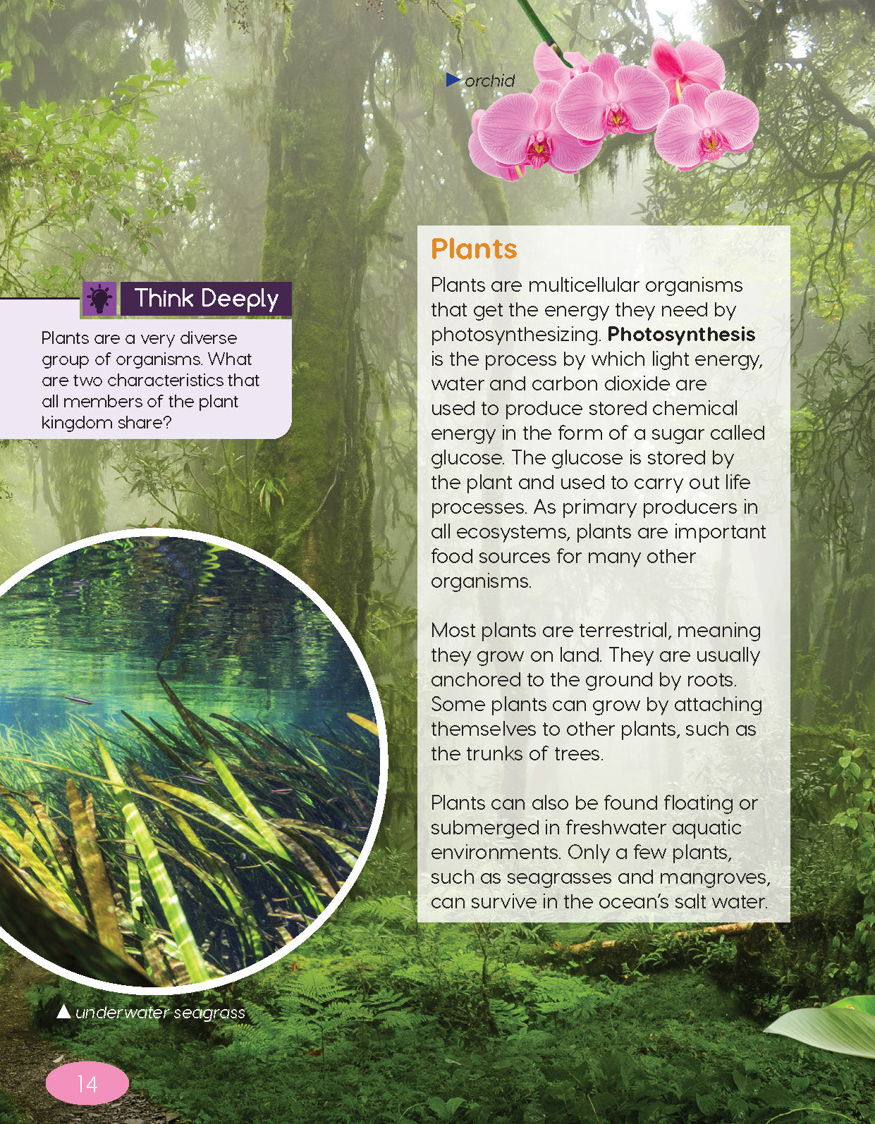 Next Generation Science Textbook – Grade 6, Book A