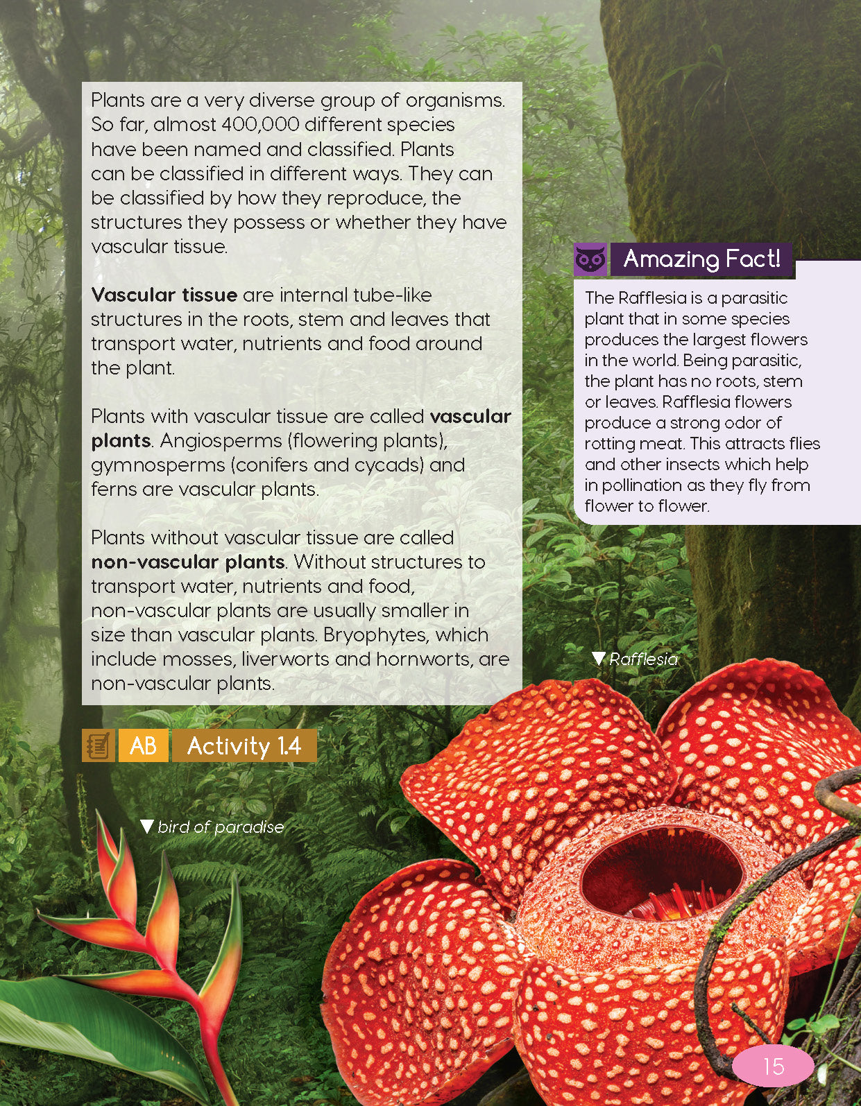 Next Generation Science Textbook – Grade 6, Book A