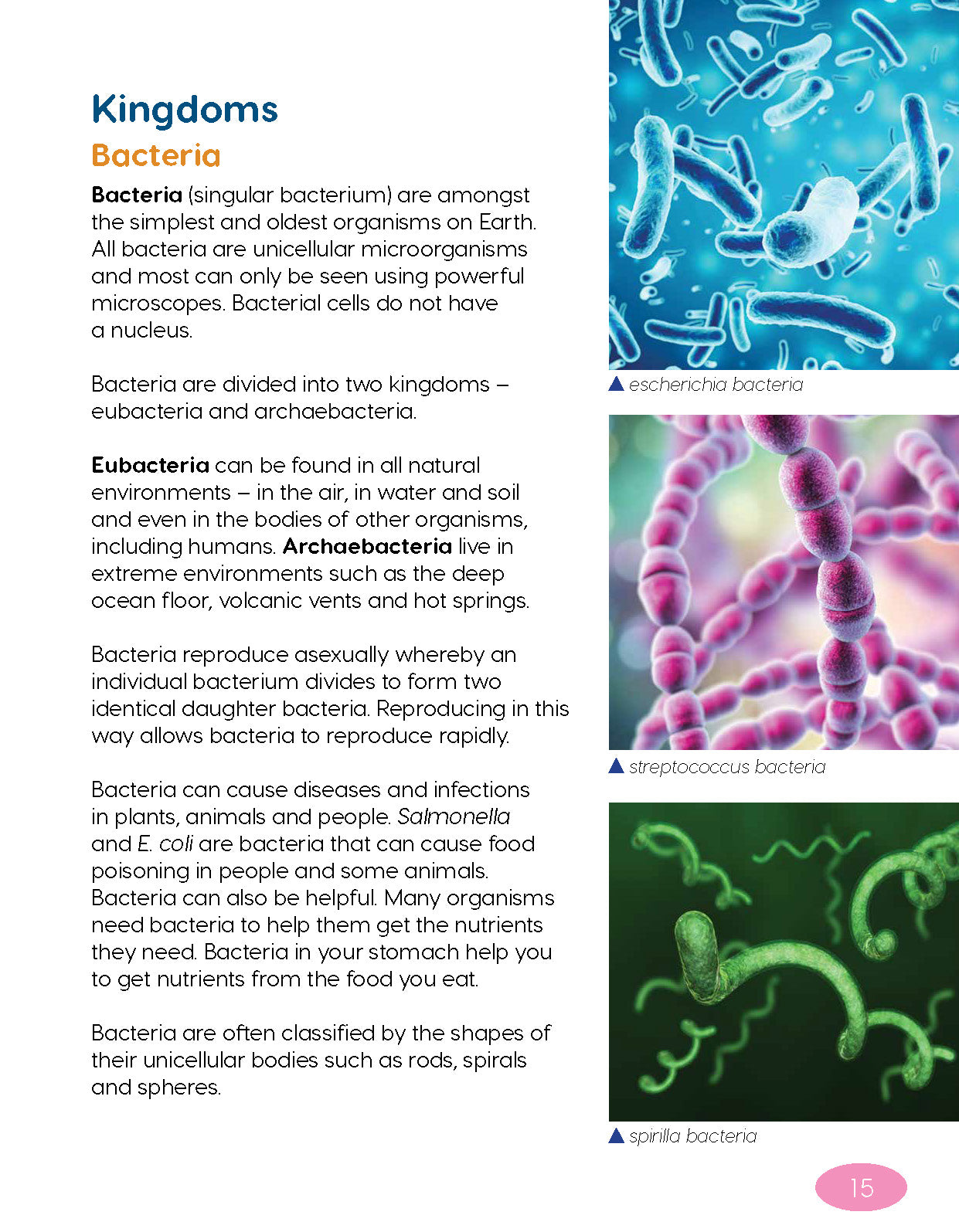 Next Generation Science Textbook – Grade 5, Book A