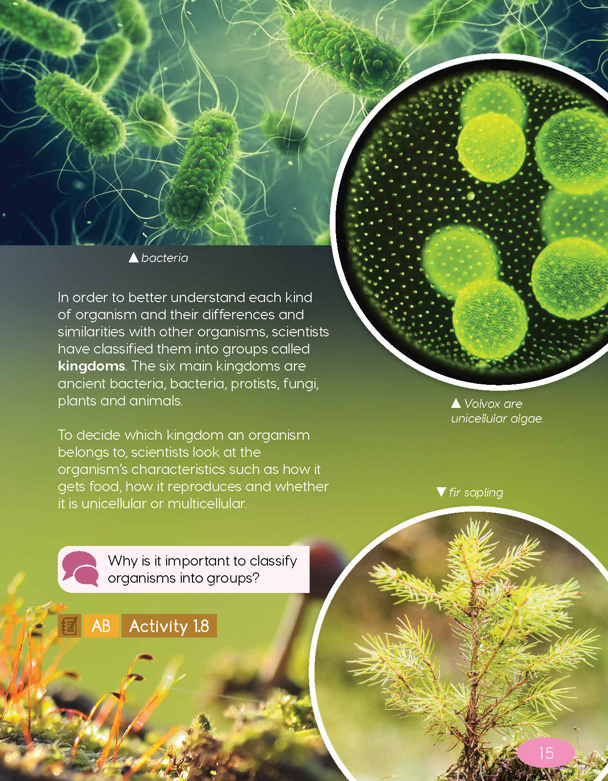 Next Generation Science Textbook – Grade 4, Book A