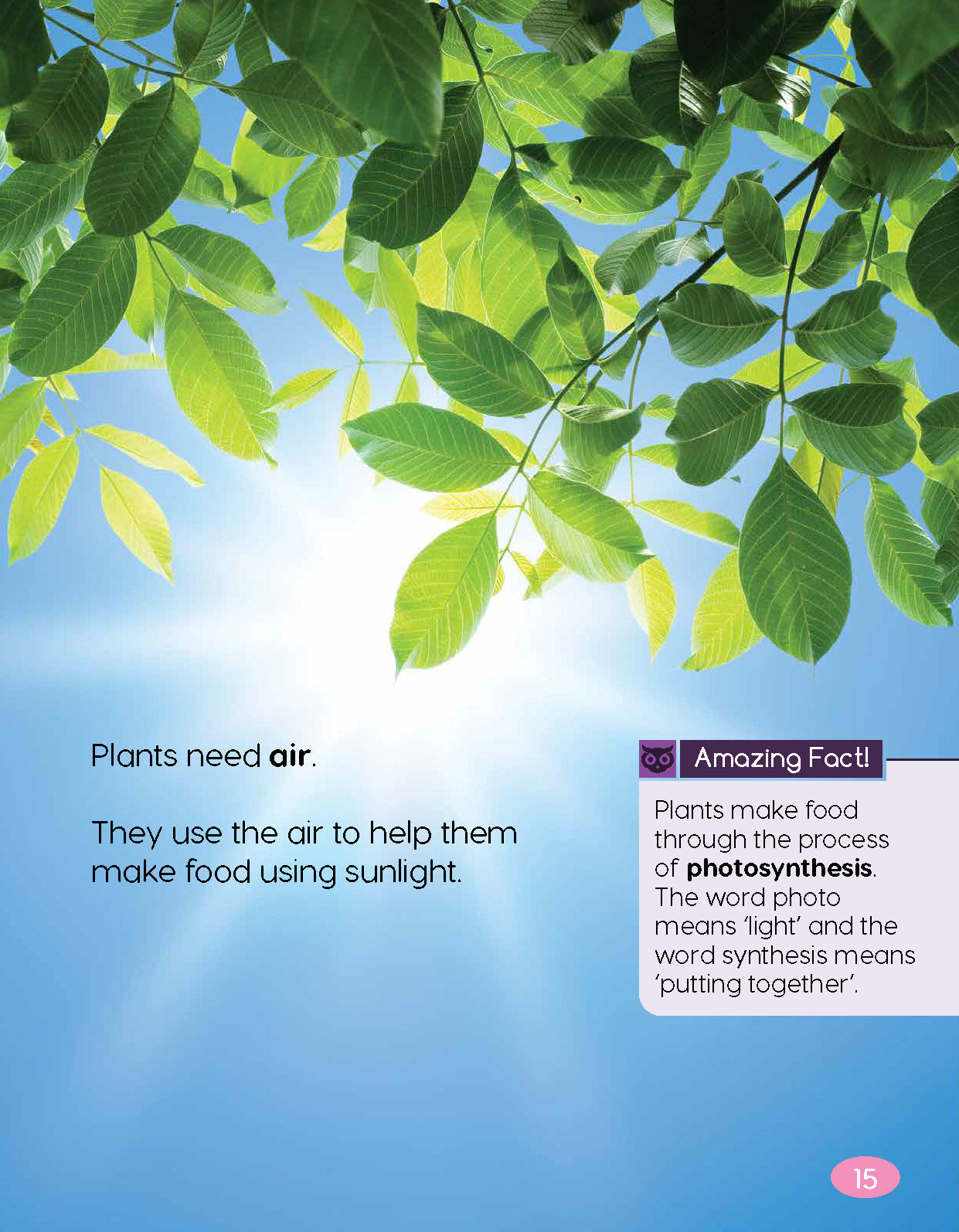 Next Generation Science Textbook – Grade K, Book A