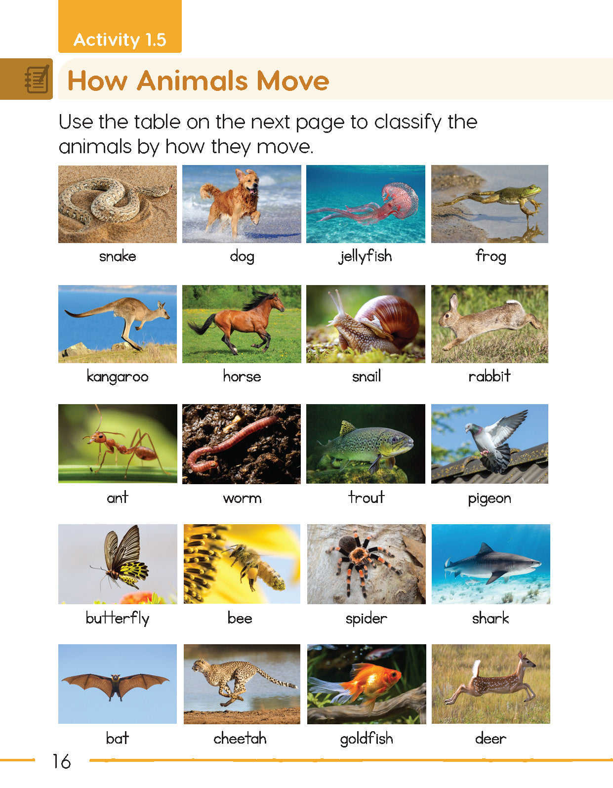 Next Generation Science Activity Book – Grade 1, Book A